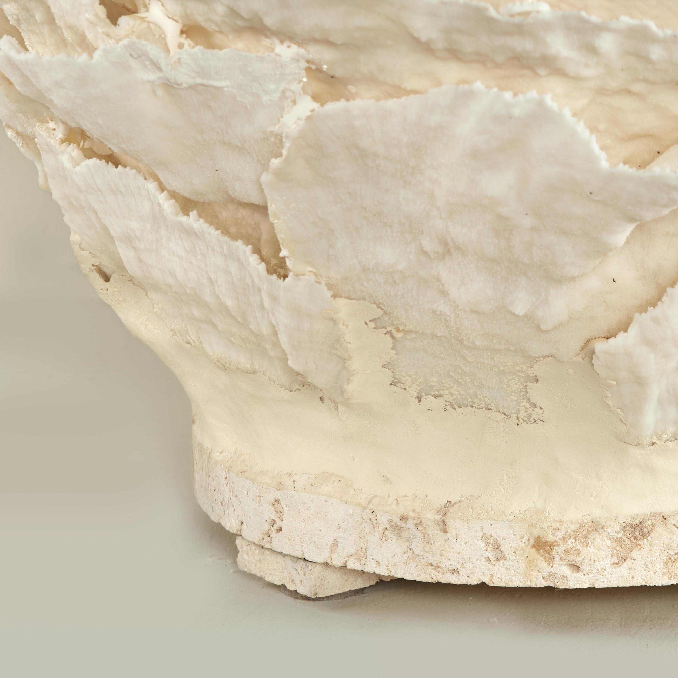 Centrotavola o scultura di corallo su base di pietra coquina in vendita 6