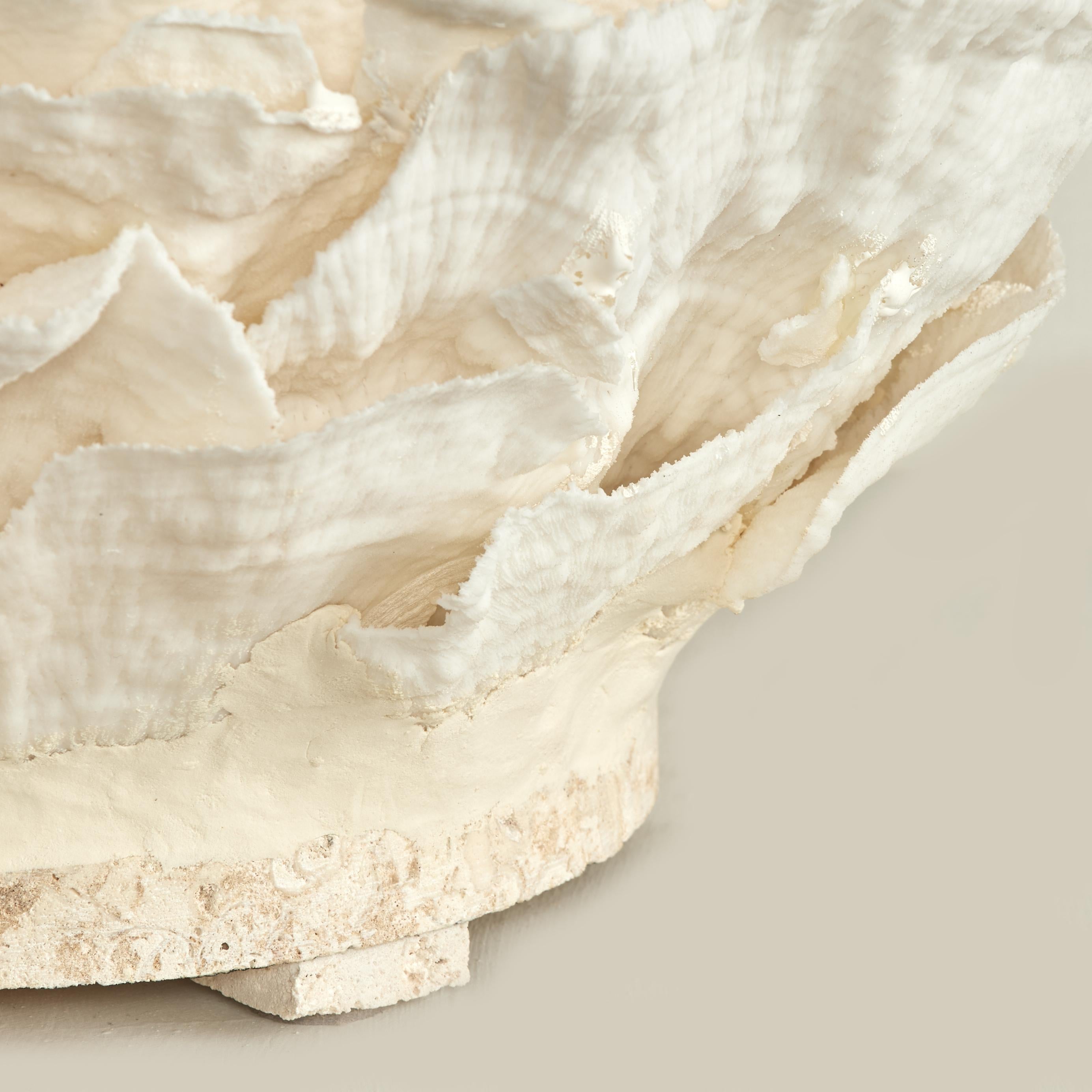 Centrotavola o scultura di corallo su base di pietra coquina in vendita 7