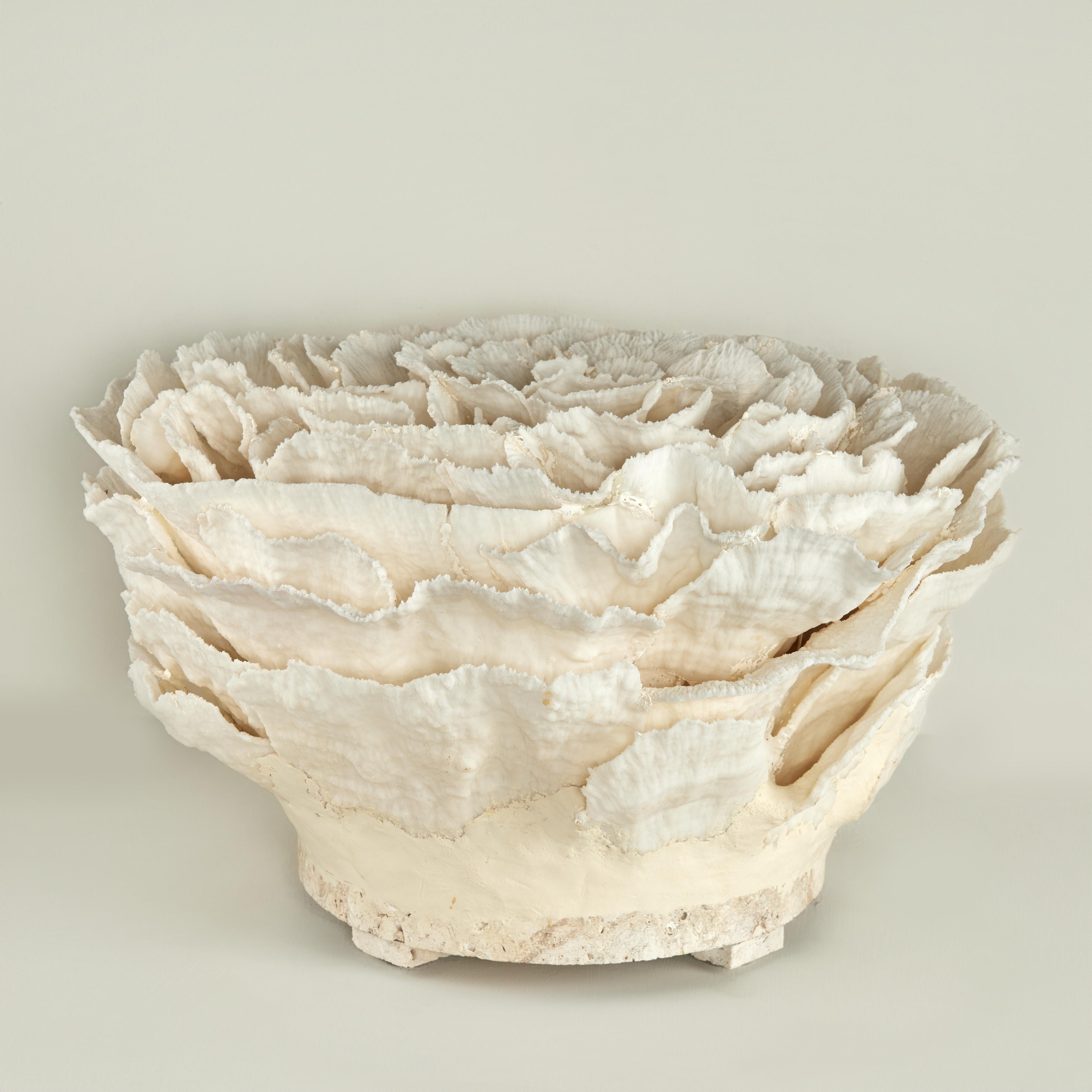 Centrotavola o scultura di corallo su base di pietra coquina - Sculpture Vittoriano di F.S. Henemader