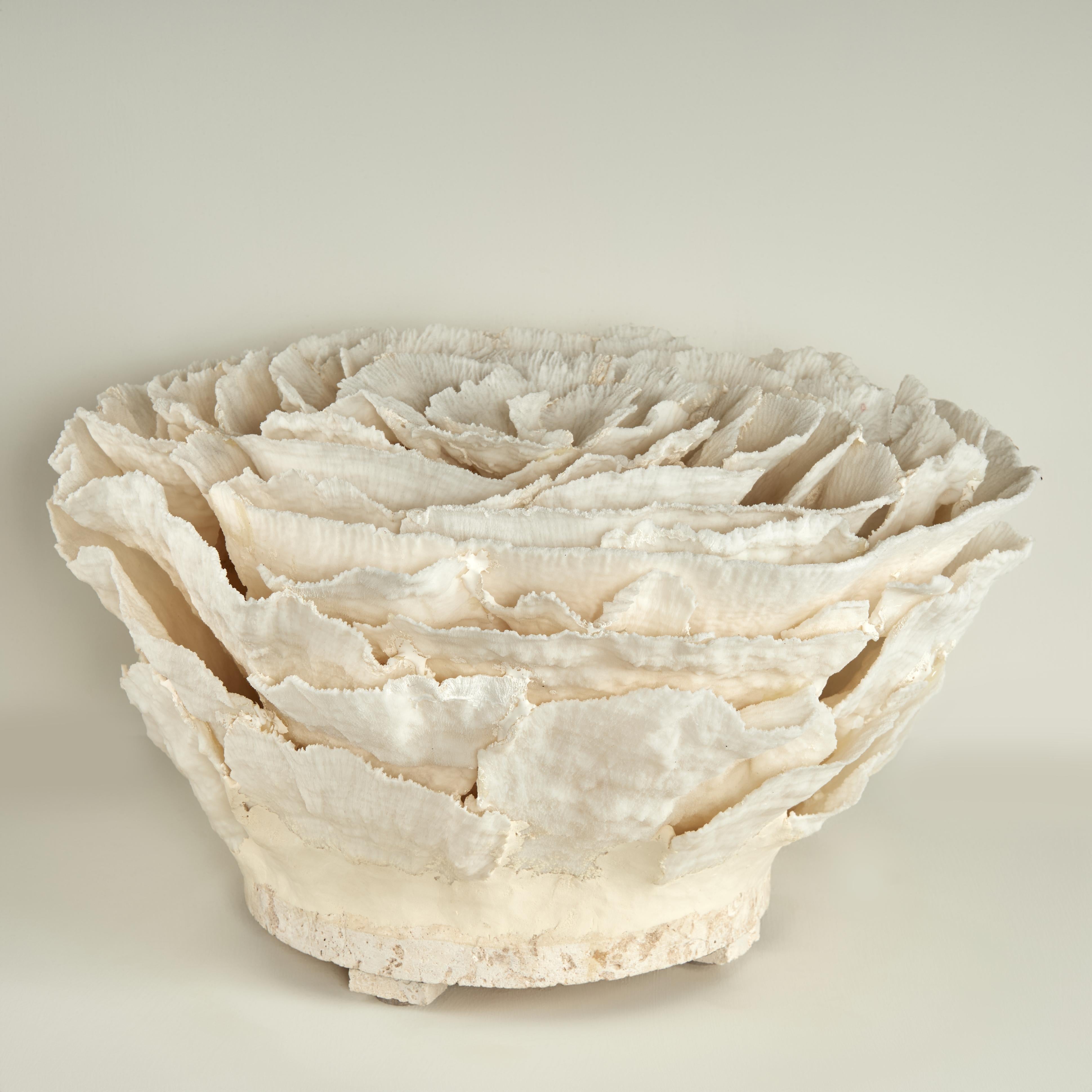 Centrotavola o scultura di corallo su base di pietra coquina - Abstract Sculpture Beige di F.S. Henemader