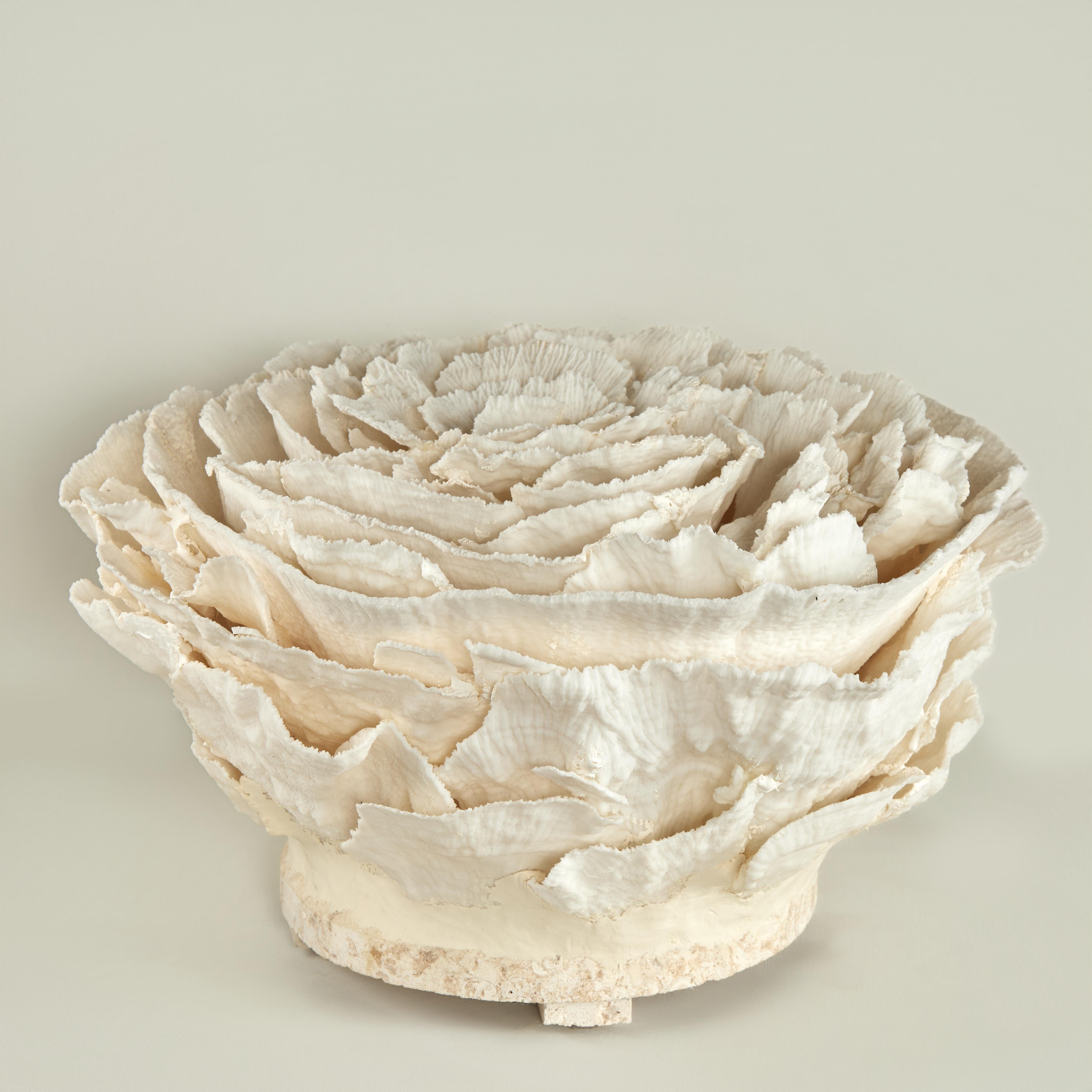 Scultura o assemblaggio di corallo merulina unico nel suo genere, realizzato a mano con corallo organico sostenibile e presentato su una base di pietra coquina. Progettato e realizzato esclusivamente da F S Henemader Antiques.