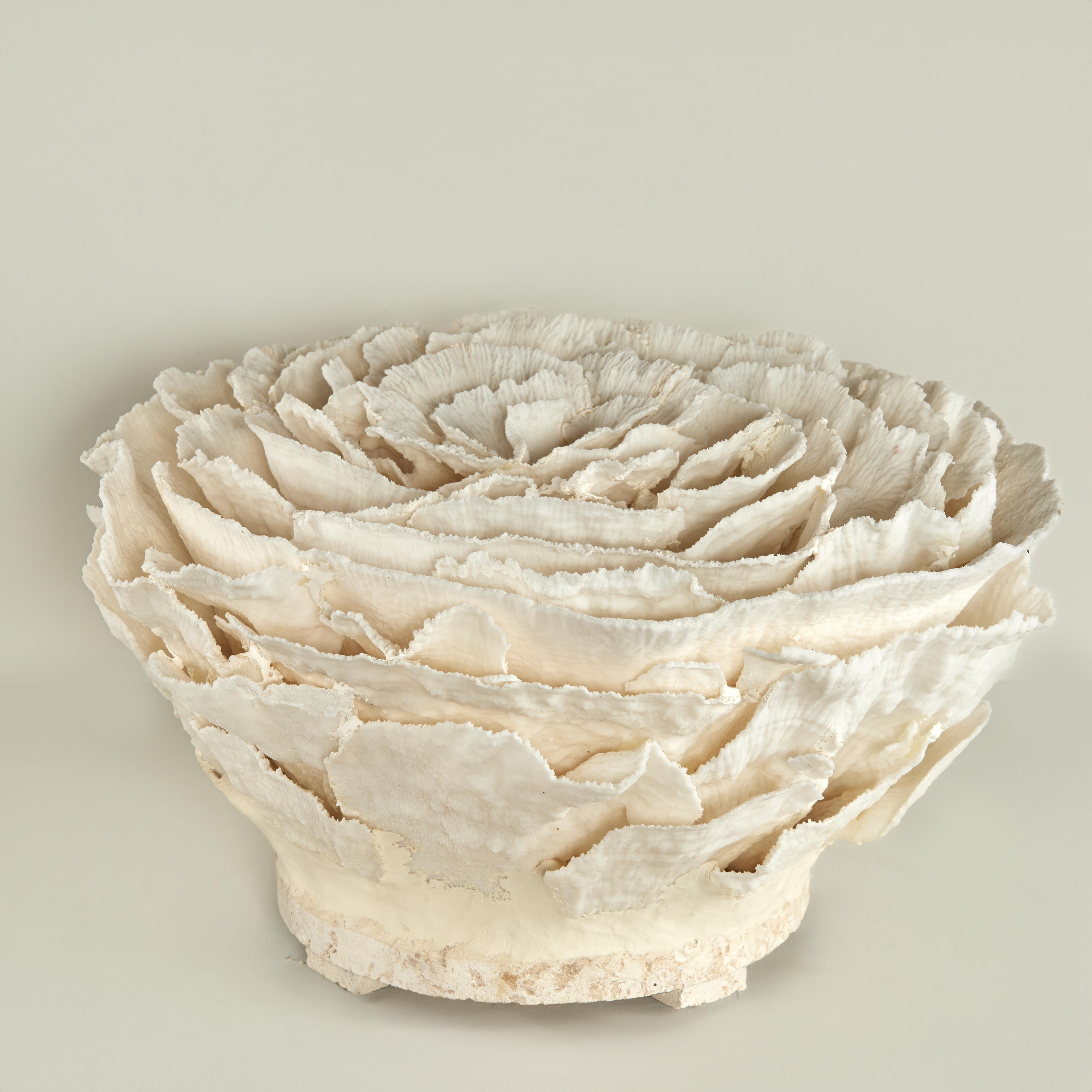 Centrotavola o scultura di corallo su base di pietra coquina in vendita 2