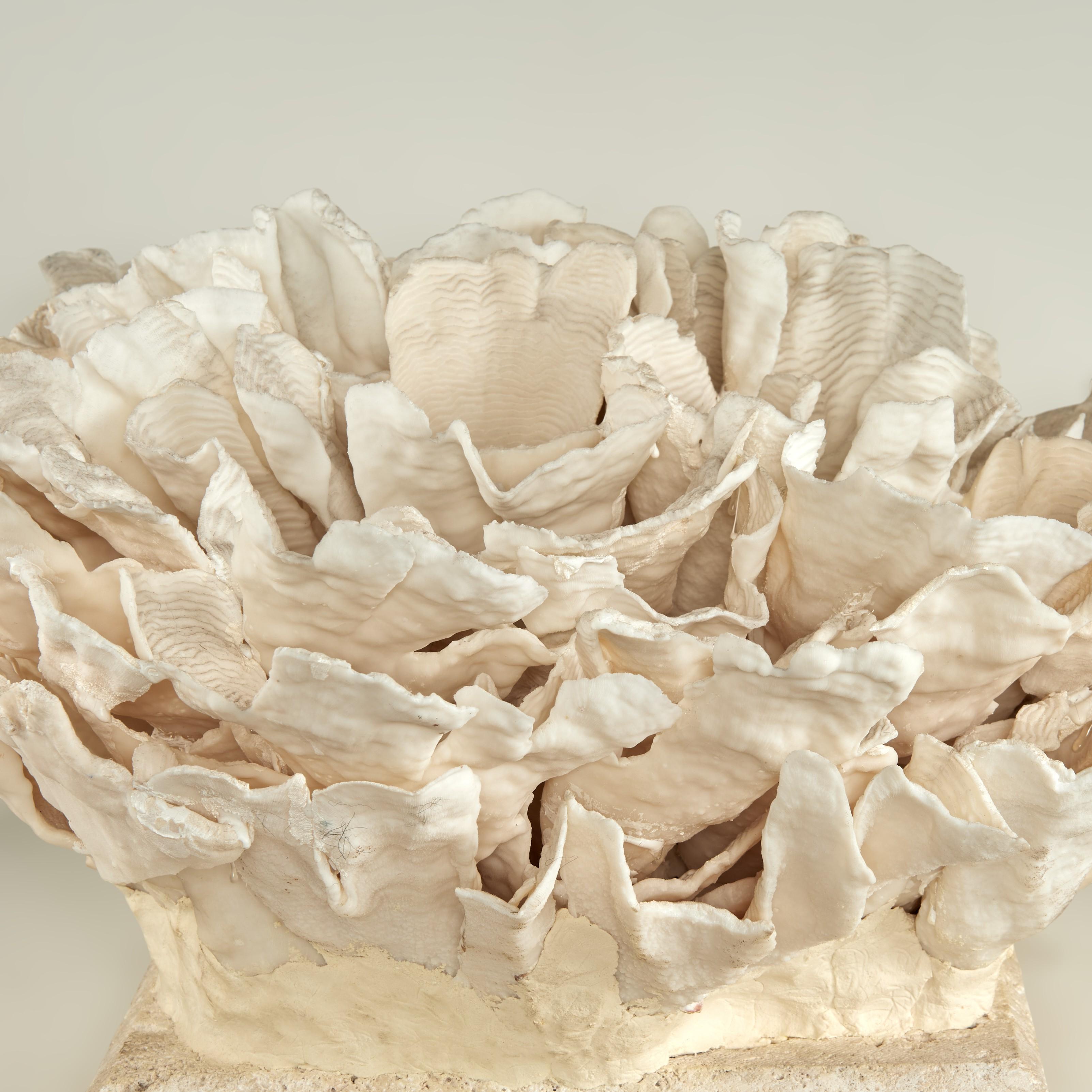 Coral Sculpture on Coquina Stone For Sale 7