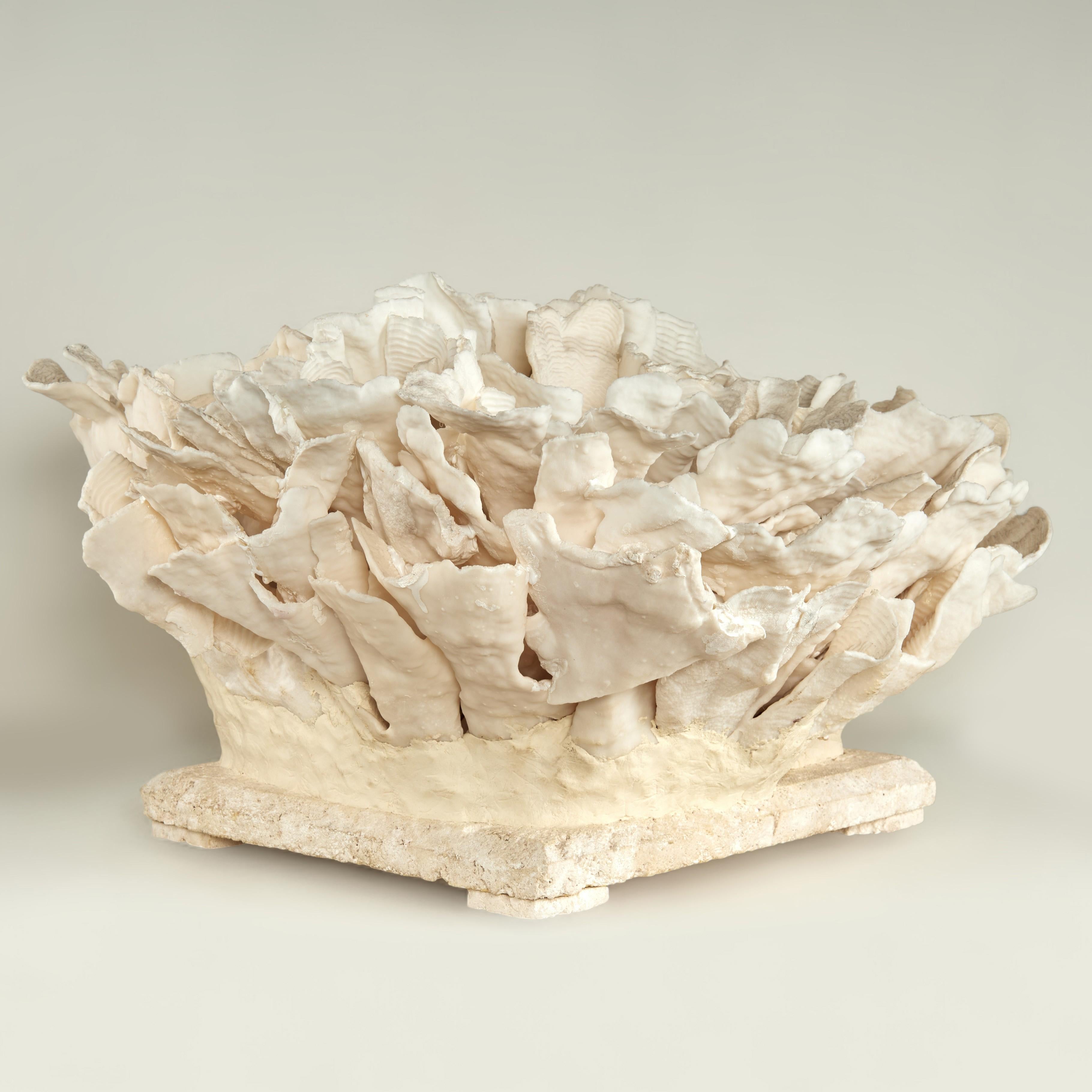 Coral Sculpture on Coquina Stone For Sale 8