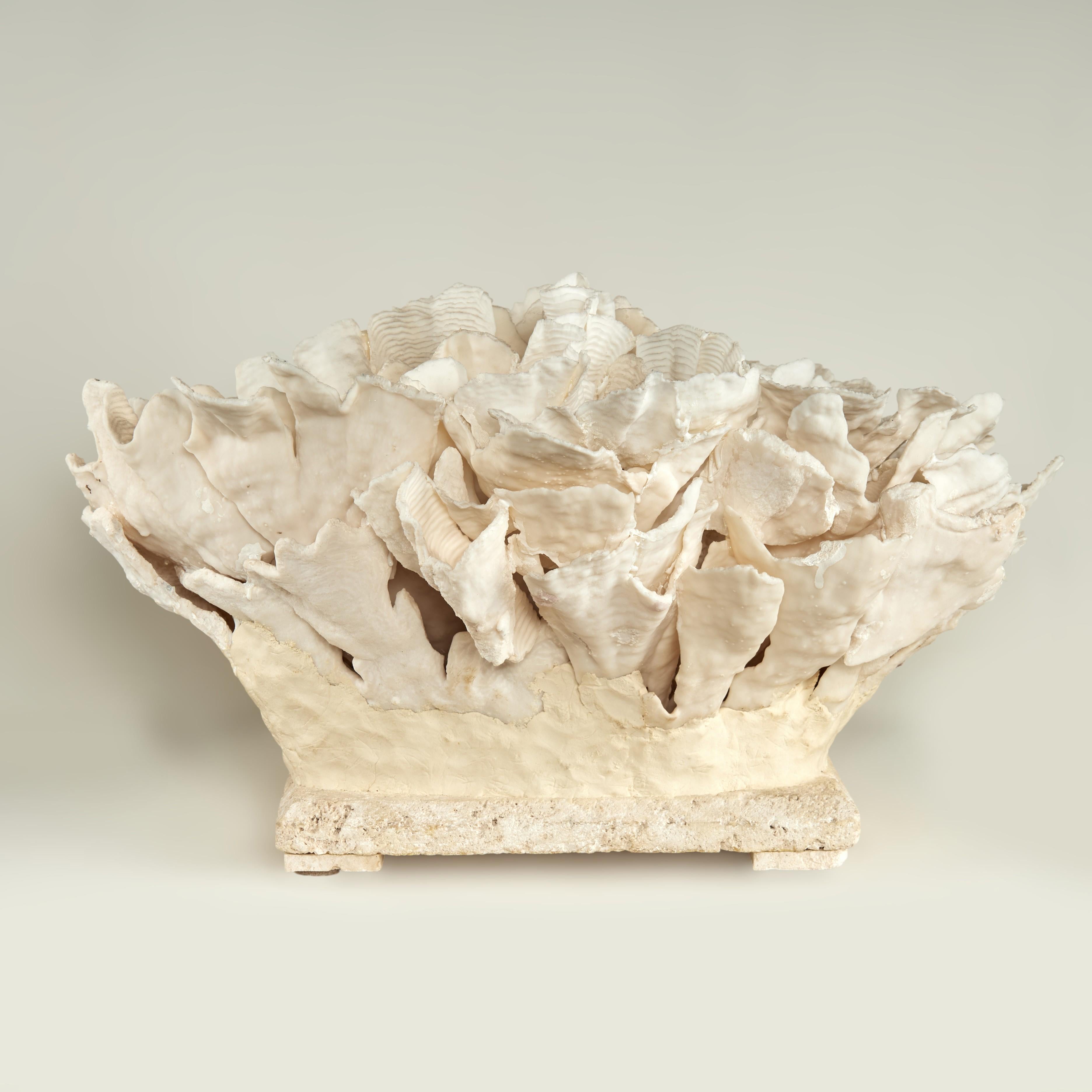 Coral Sculpture on Coquina Stone For Sale 9