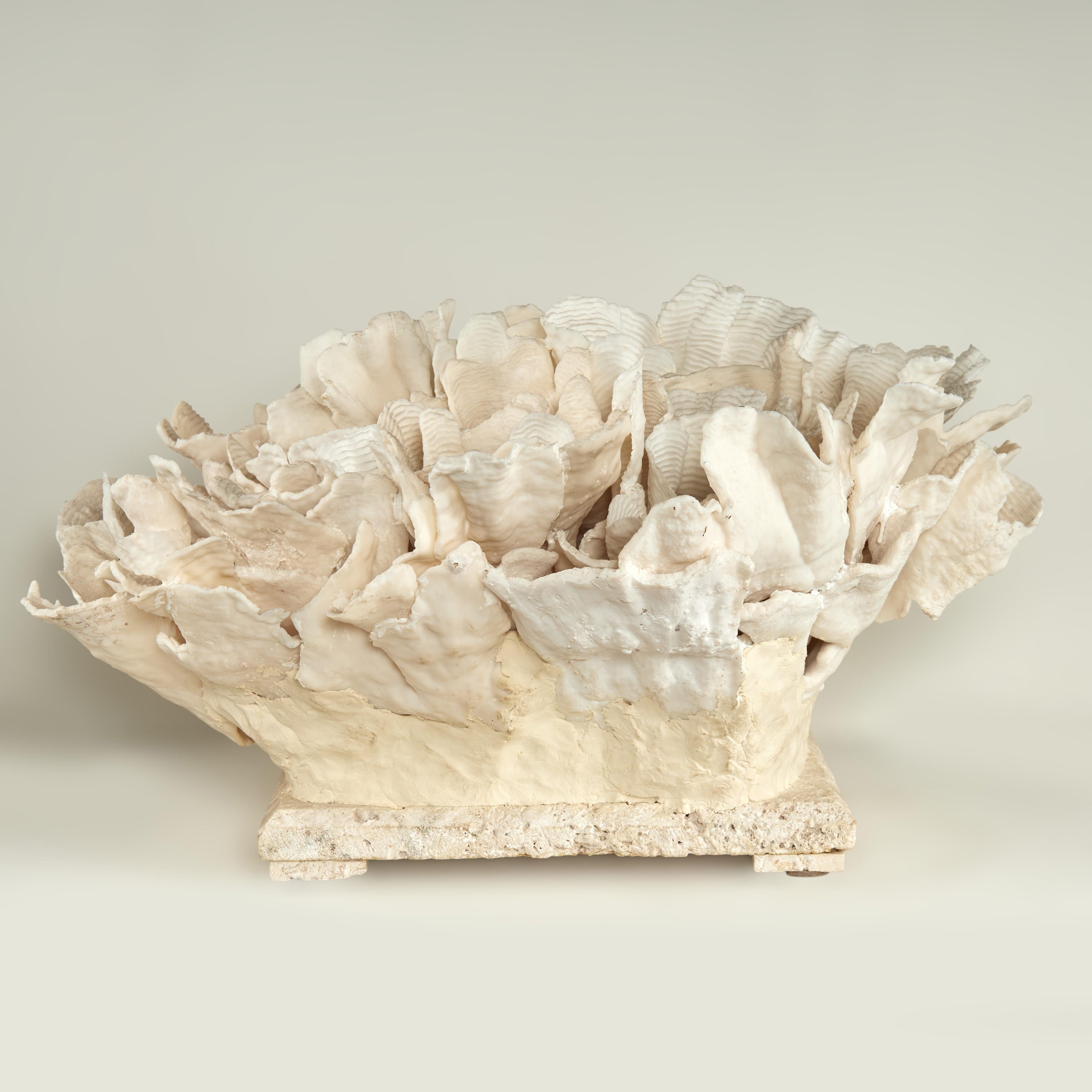 Coral Sculpture on Coquina Stone For Sale 10