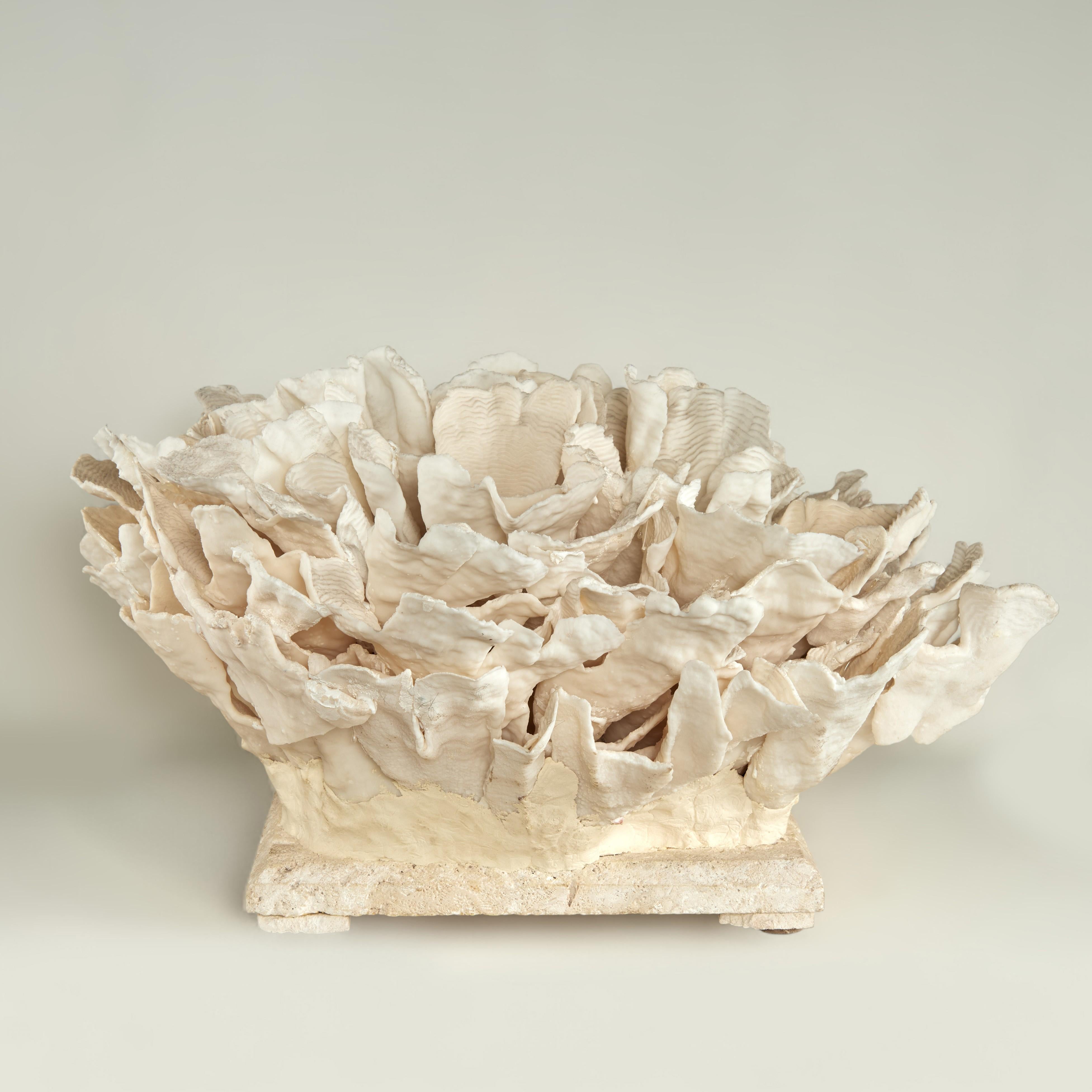 Coral Sculpture on Coquina Stone - Beige Abstract Sculpture by F.S. Henemader