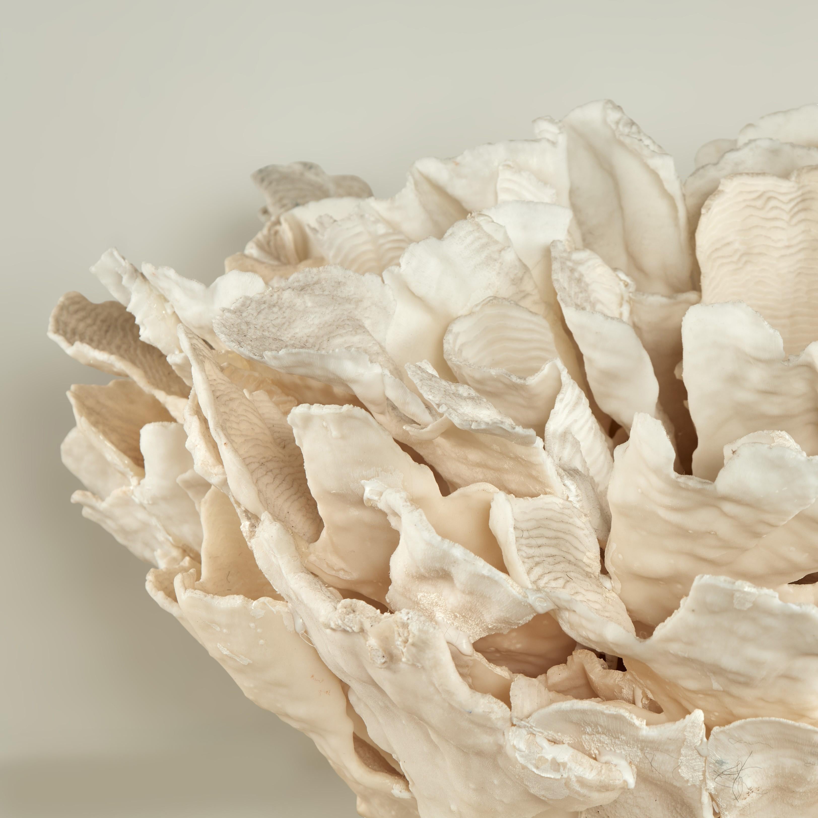 Lofty one of a kind rugosa coral sculpture or assemblage handcrafted in organic sustainable coral and presented on a coquina stone base. Designed and executed exclusively by F S Henemader antiques.

Base: H: 1 W: 12 D: 12