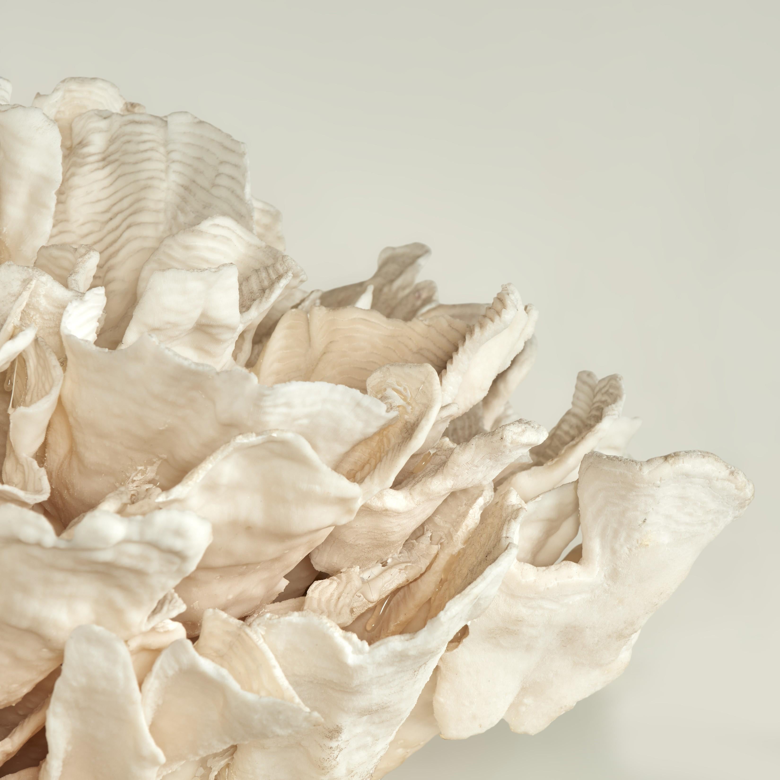 Coral Sculpture on Coquina Stone For Sale 1