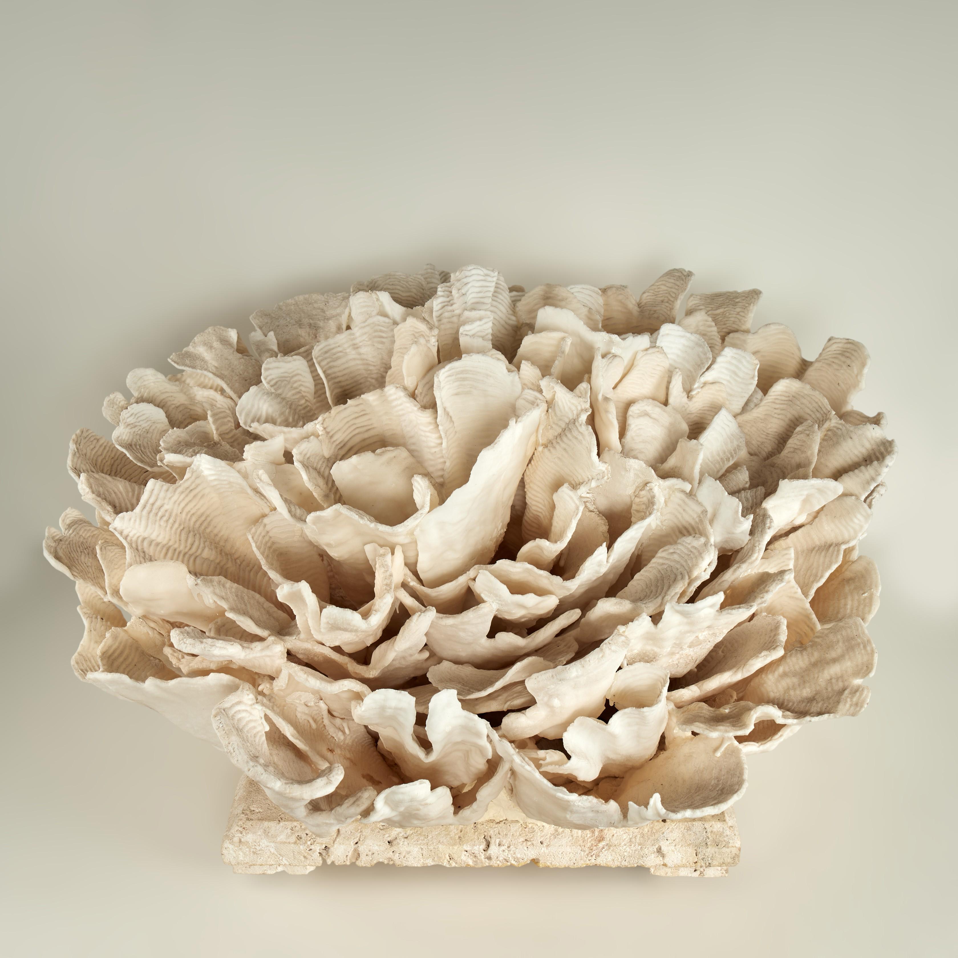 Coral Sculpture on Coquina Stone For Sale 2
