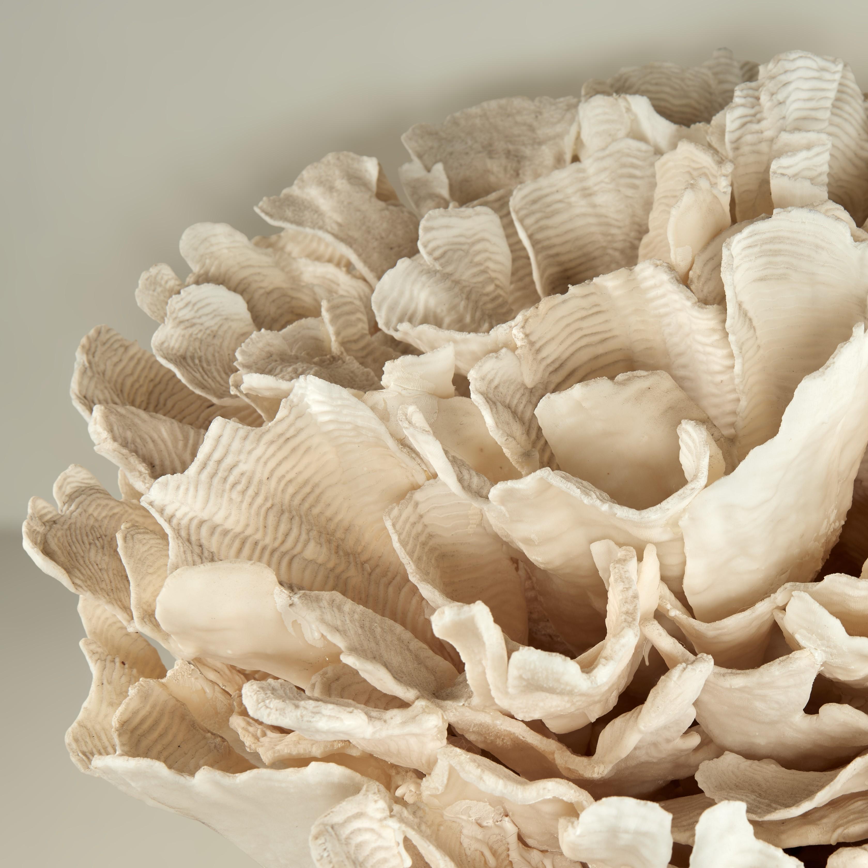 Coral Sculpture on Coquina Stone For Sale 3