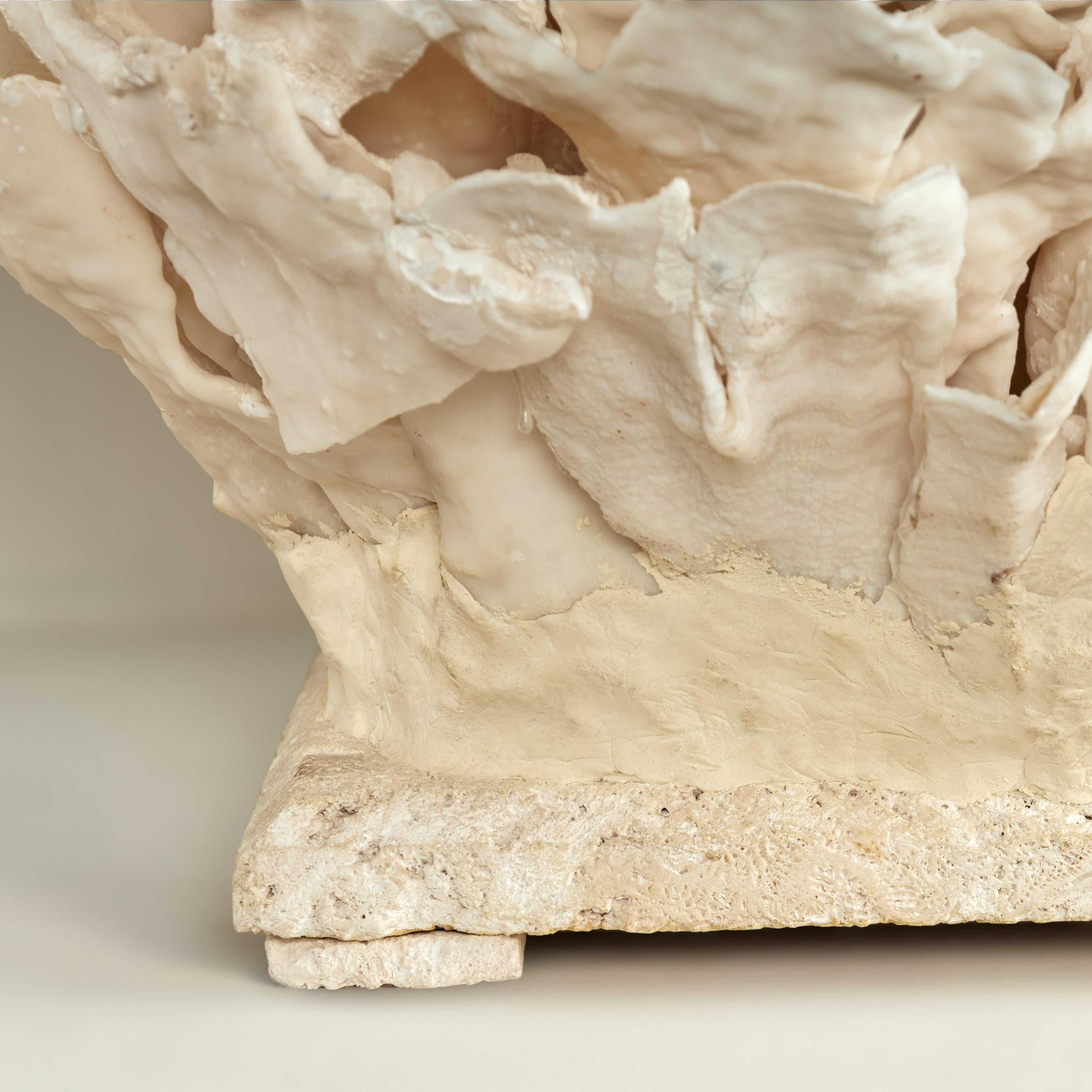 Coral Sculpture on Coquina Stone For Sale 5