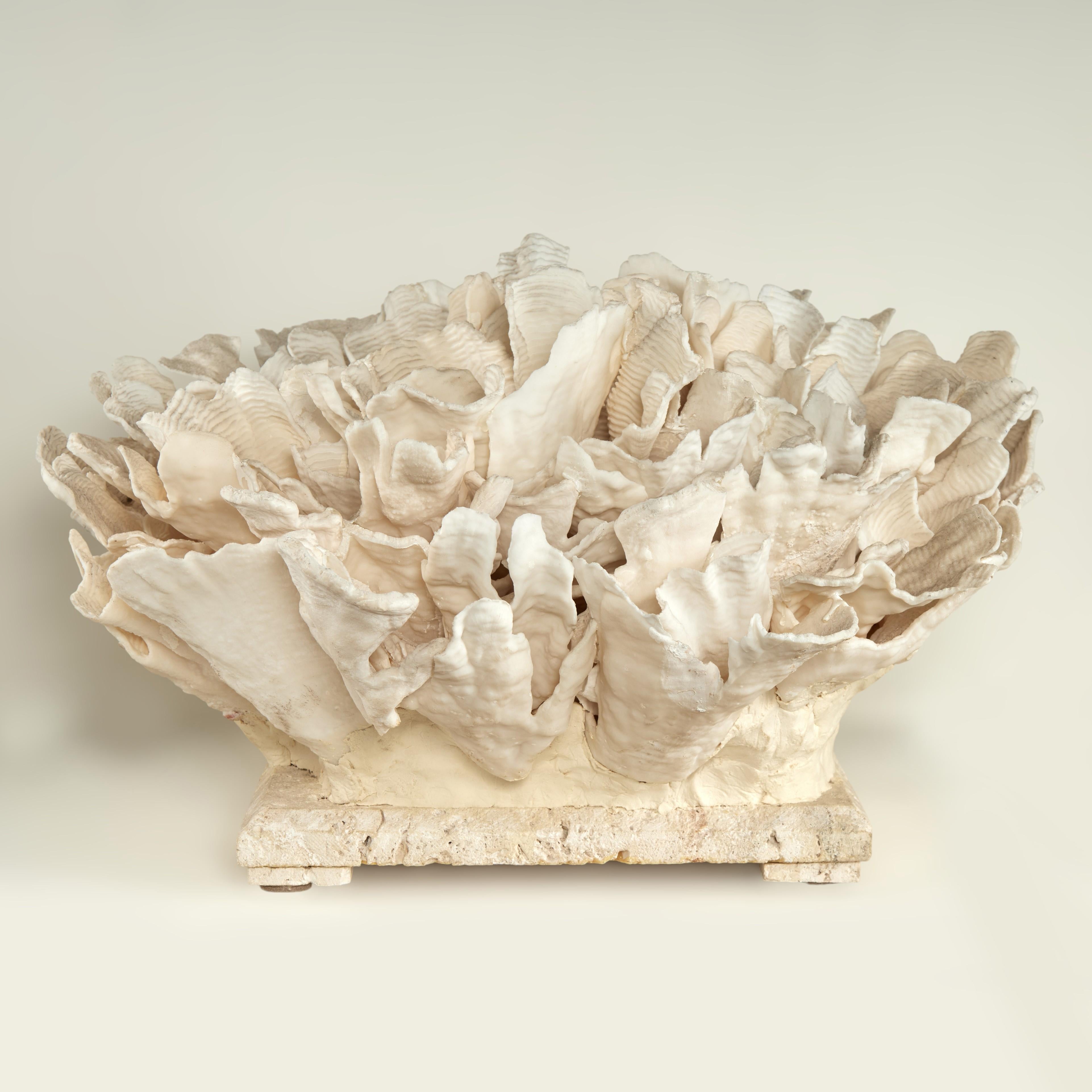 F.S. Henemader Abstract Sculpture - Coral Sculpture on Coquina Stone