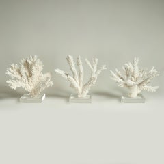 Sculptures