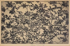 Birds on Branches - Lithograph in Ink on Paper - Edition of 75
