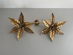 Full Brass Wall or Ceiling Lamp by Willy Daro for Massive, 1970s, Germany