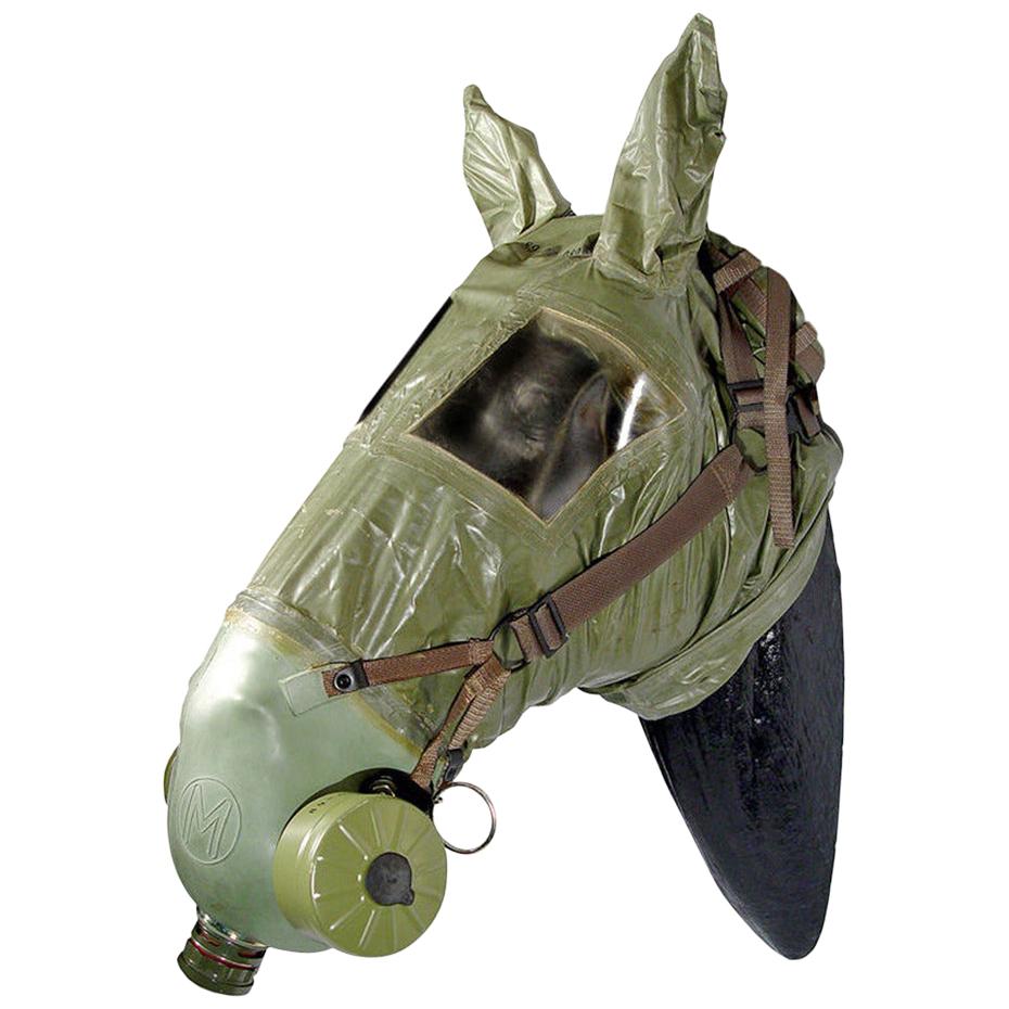 Full Head Horse Gas Mask at 1stDibs | horse gas mask for sale, modern horse  gas mask, donkey with gas mask