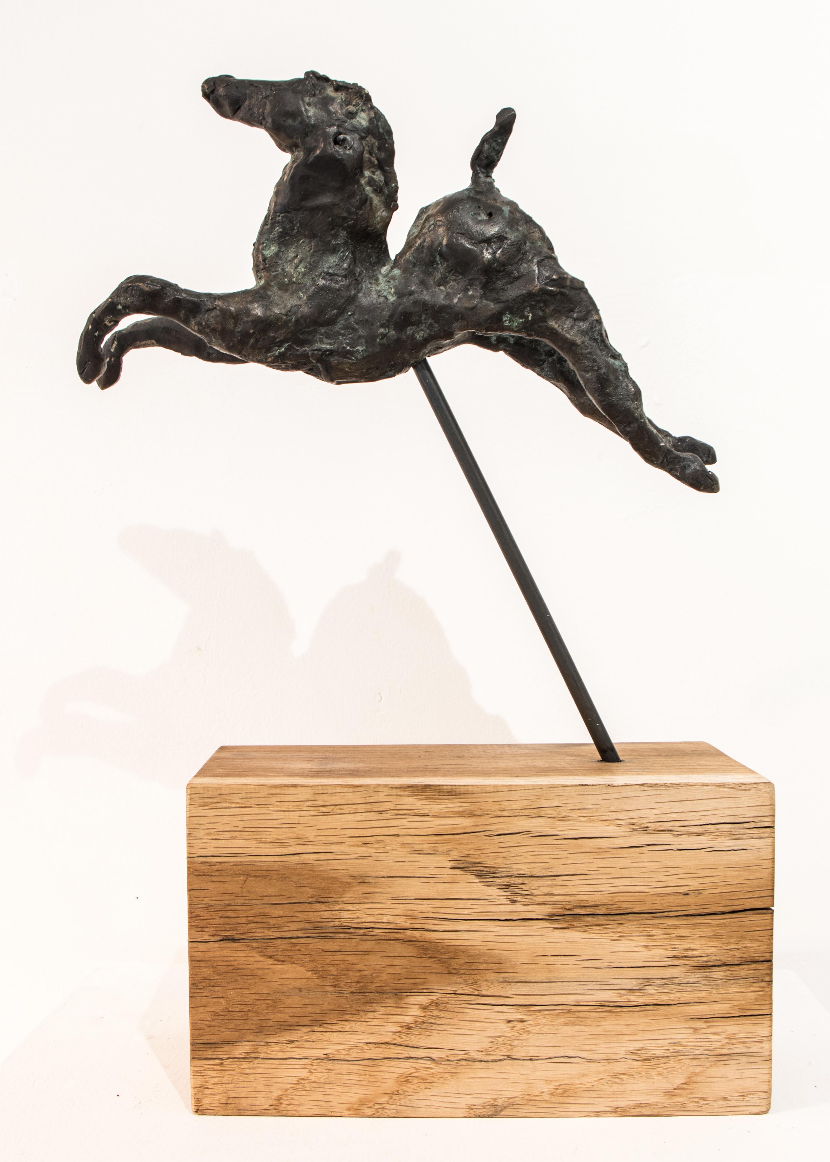 Using the lost wax technique, all Danuta's bronzes are one-off originals 
Free standing. Rests on carbonised oak block 
