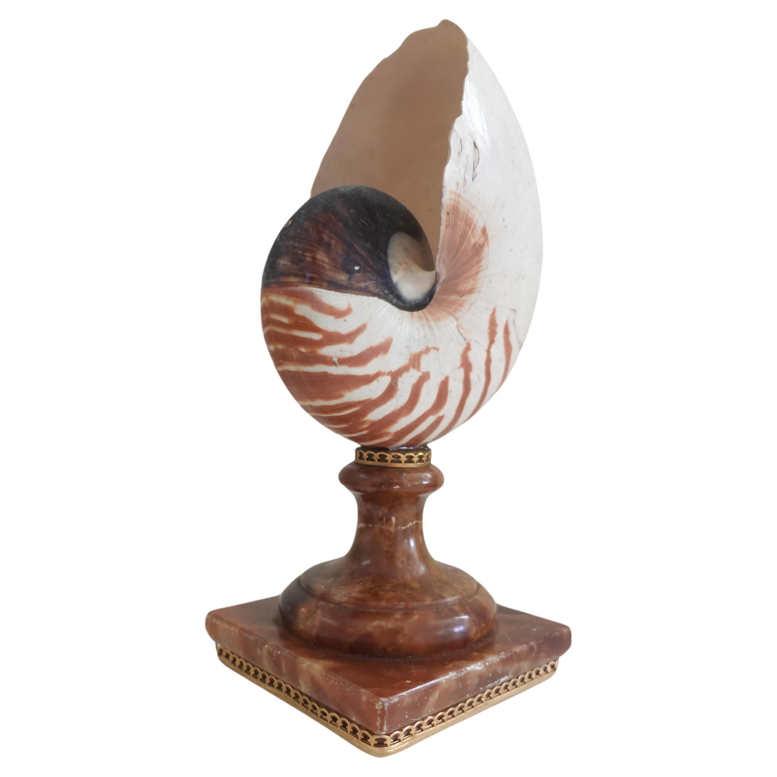 A Natural Striped Fully Chambered Nautilus Shell mounted to a vintage Sicilian Alabaster Base

Nautilus Pompulus on an alabaster stand
The shell: Philippines; harvested in the 20th century
The base: Sicily, Italy; second-half of the 20th