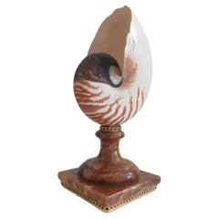 Fully Chambered Nautilus Shell mounted to a vintage Sicilian Alabaster base