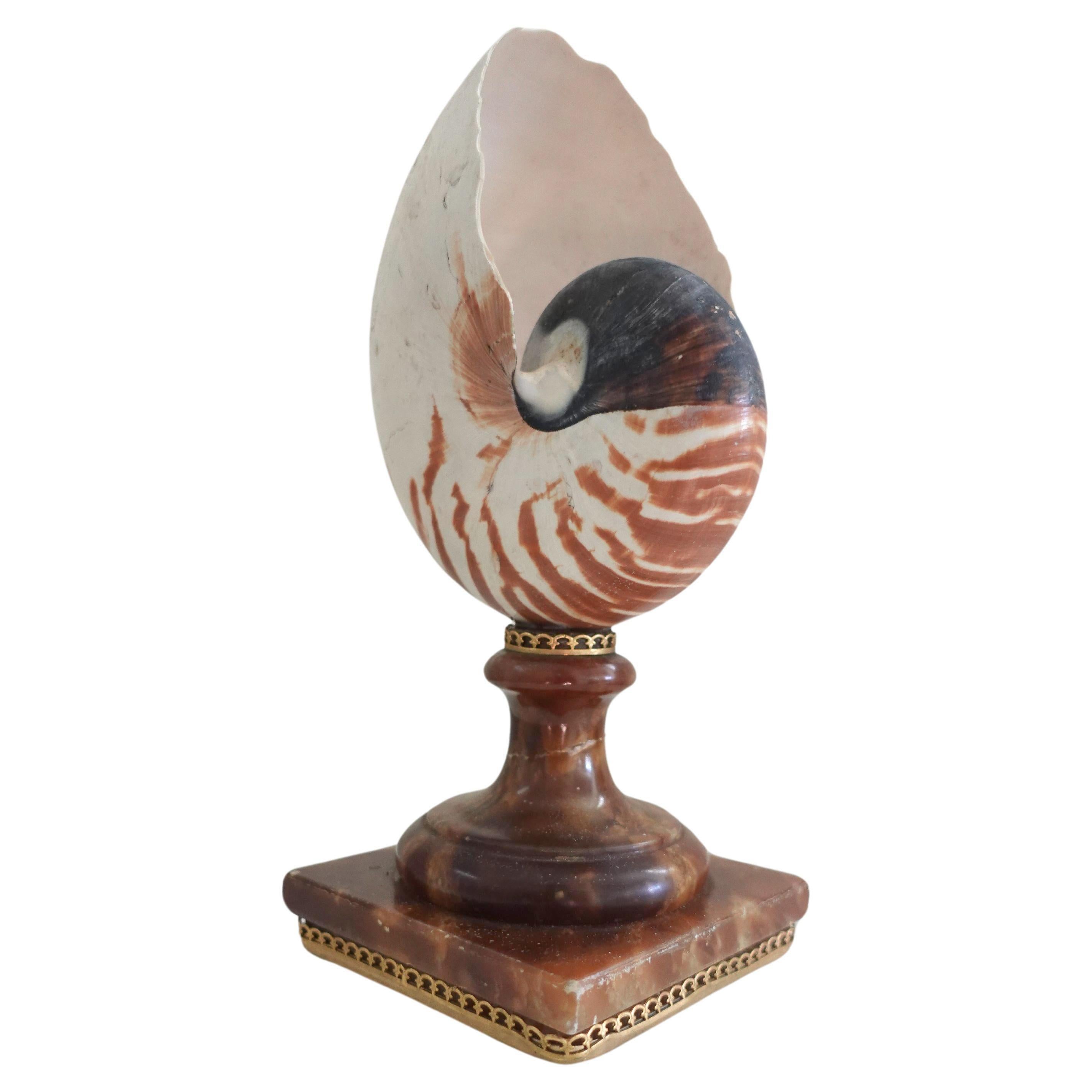 Italian Fully Chambered Nautilus Shell mounted to a vintage Sicilian Alabaster base