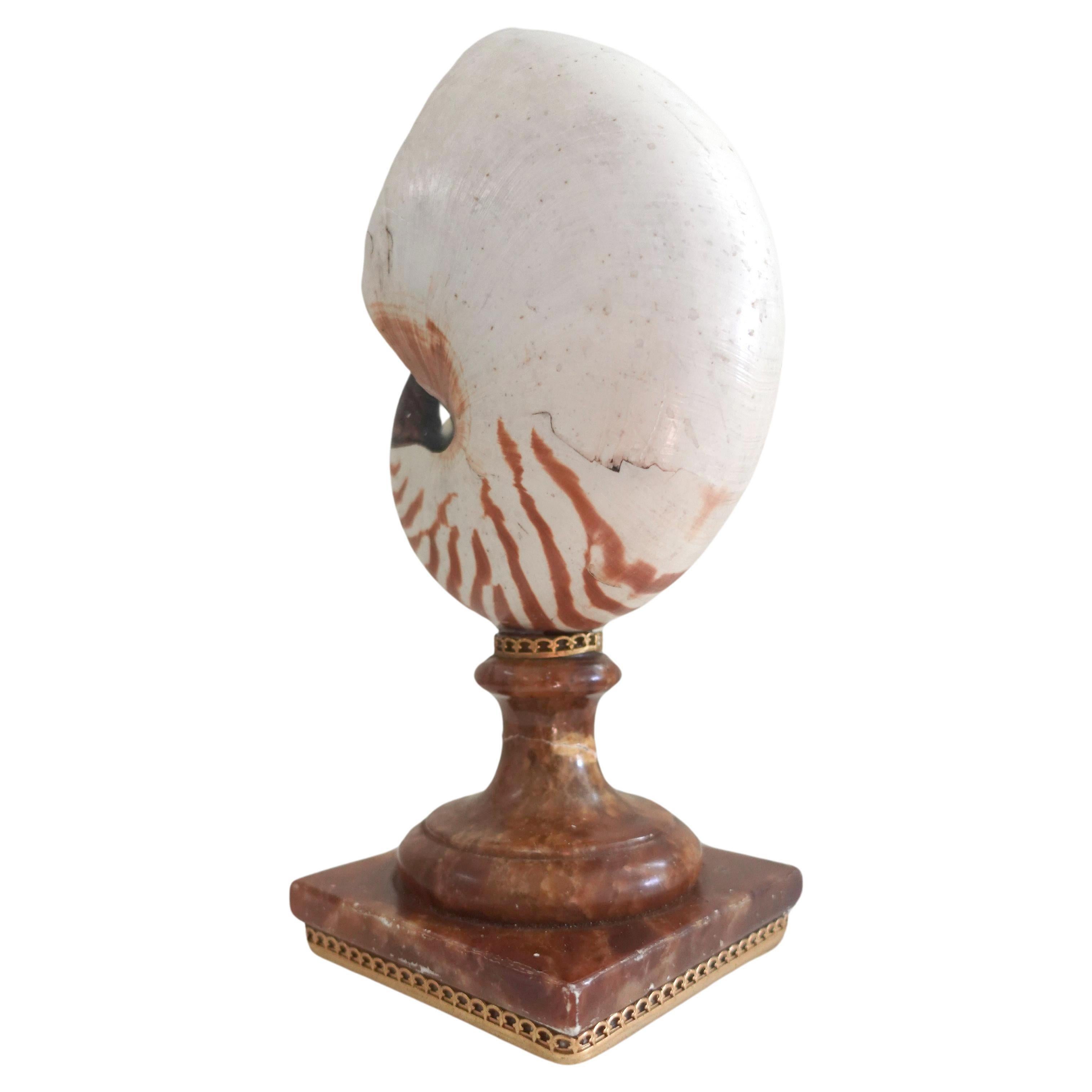 Hand-Crafted Fully Chambered Nautilus Shell mounted to a vintage Sicilian Alabaster base