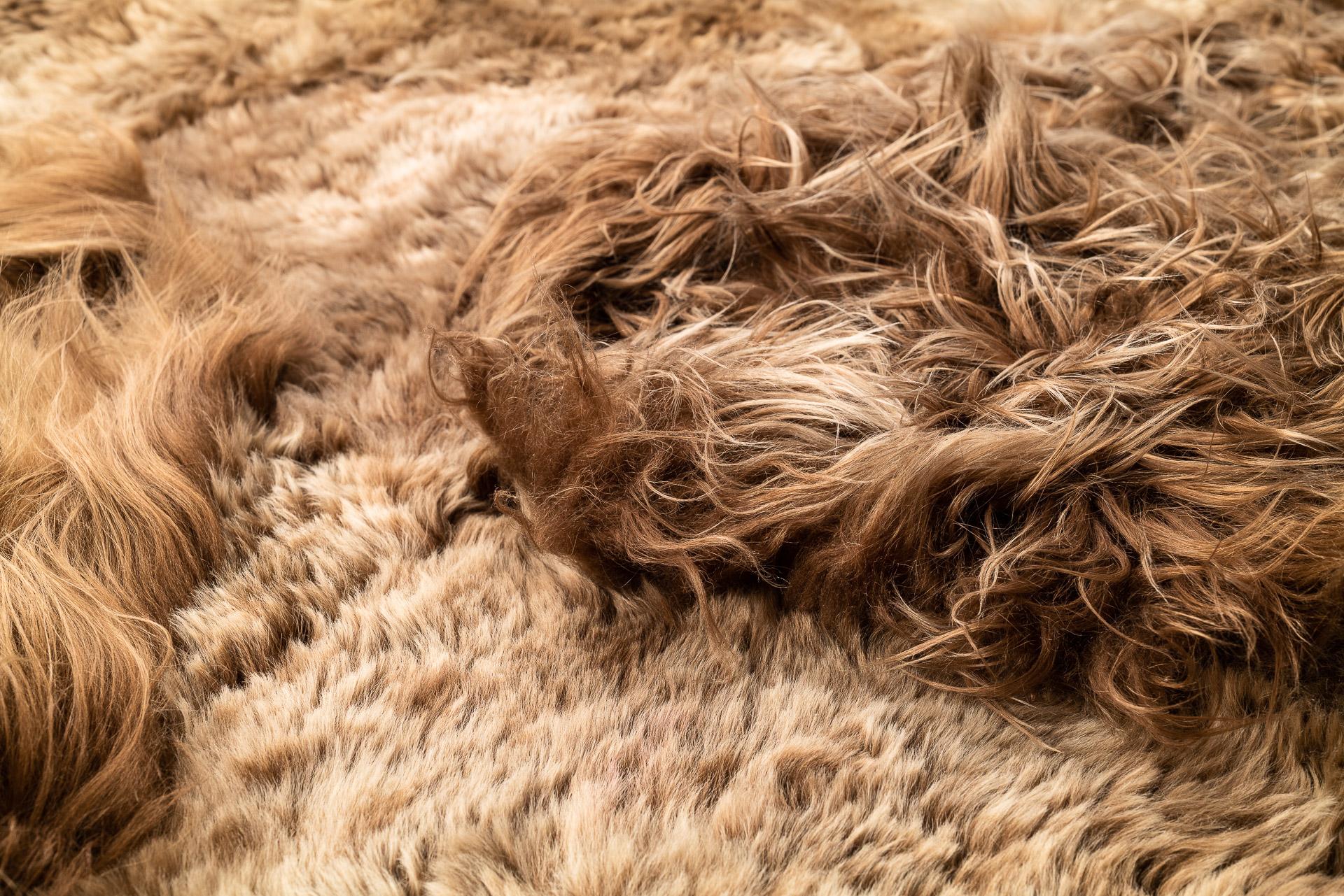 Fully Lined Sheepskin and Lambskin Brown Rug, Khan, Handmade in France In New Condition For Sale In ROSHEIM, FR