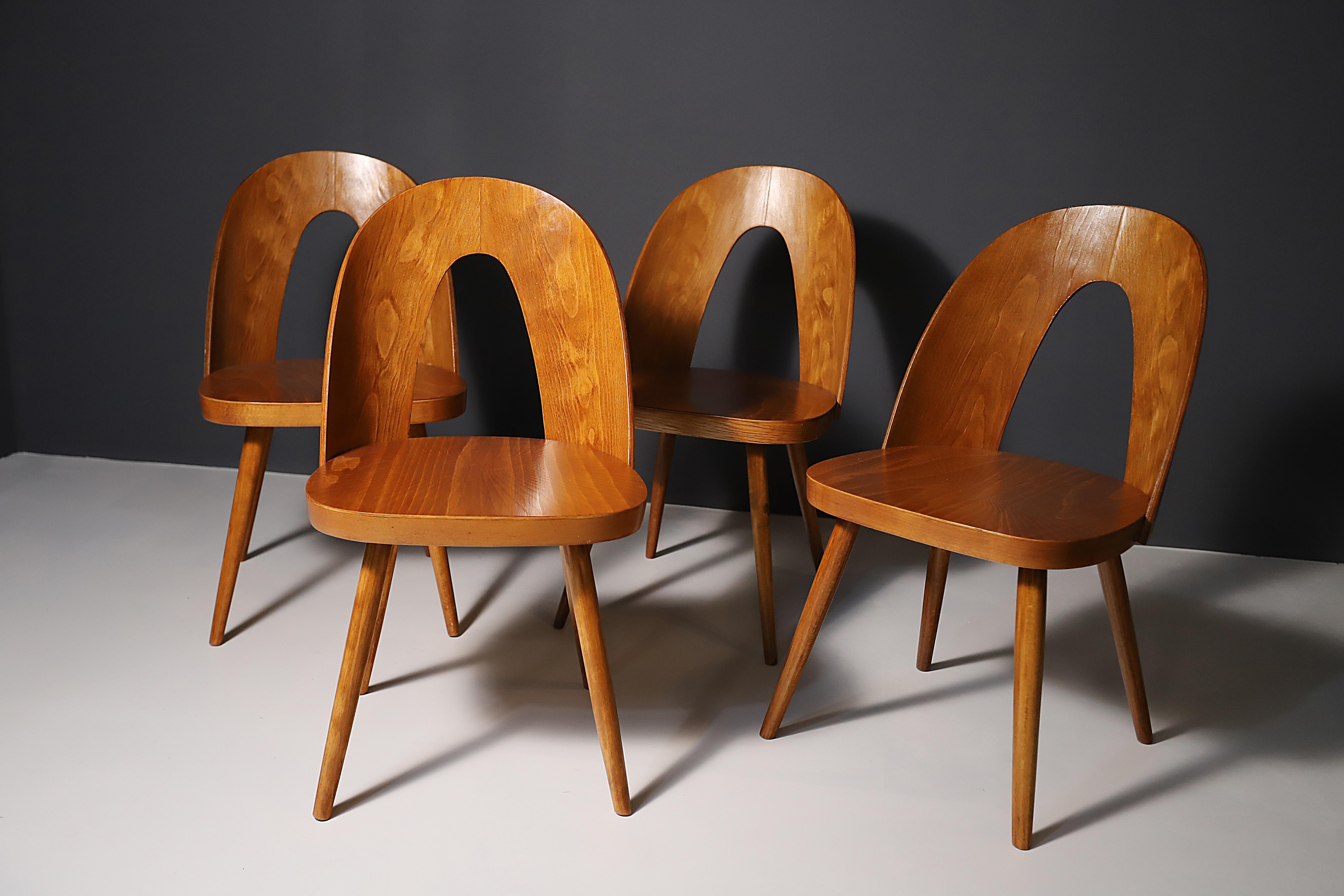 Queste sedie da pranzo in legno curvato sono state disegnate da Antonin Suman. Le sedie sono realizzate in faggio curvato e compensato. Realizzato nell'ex Cecoslovacchia negli anni ´60. Le sedie sono in ottime condizioni, sono state completamente