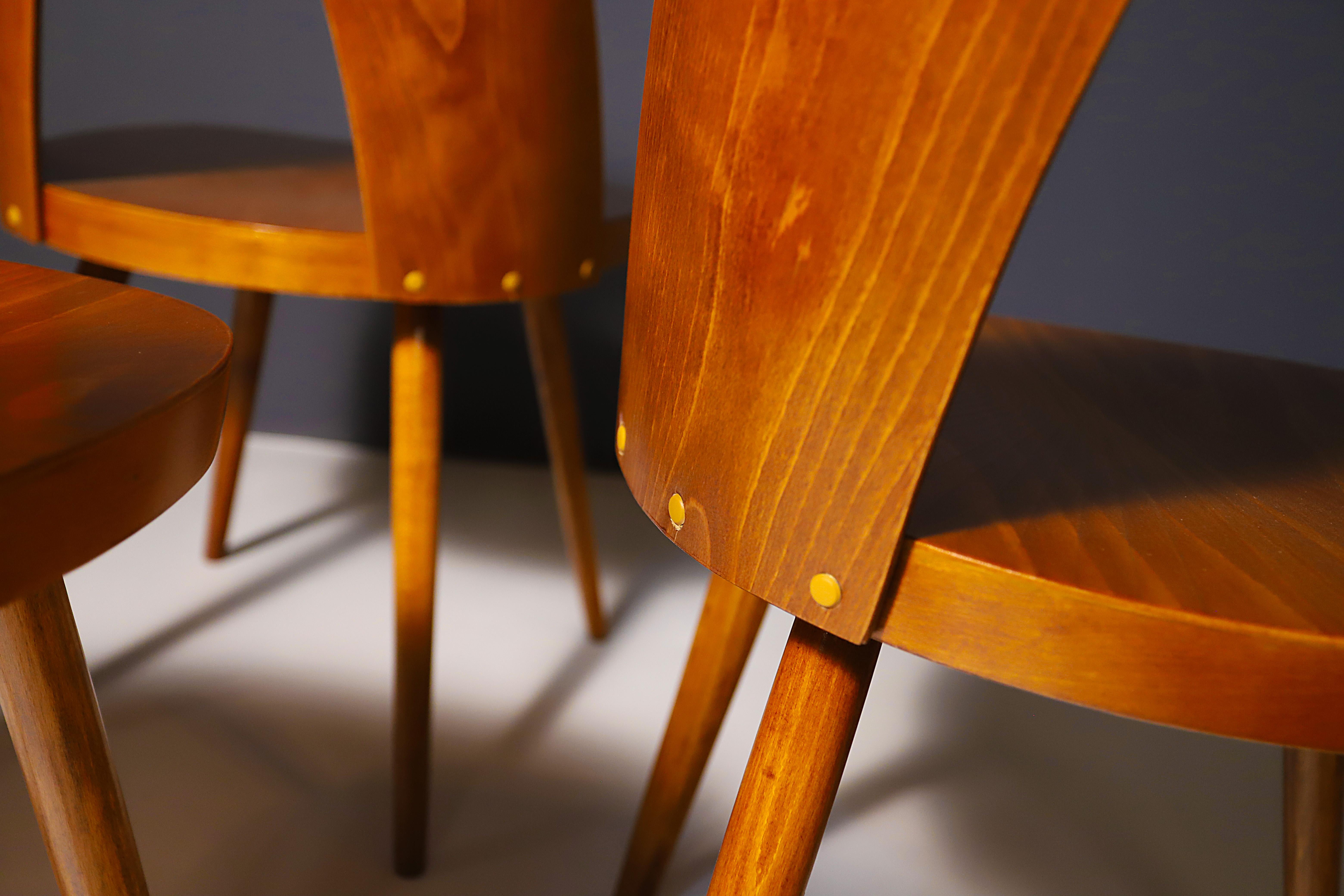 XX secolo Sedie in legno di faggio completamente restaurate di Antonín Šuman, Cecoslovacchia, set da 4 in vendita