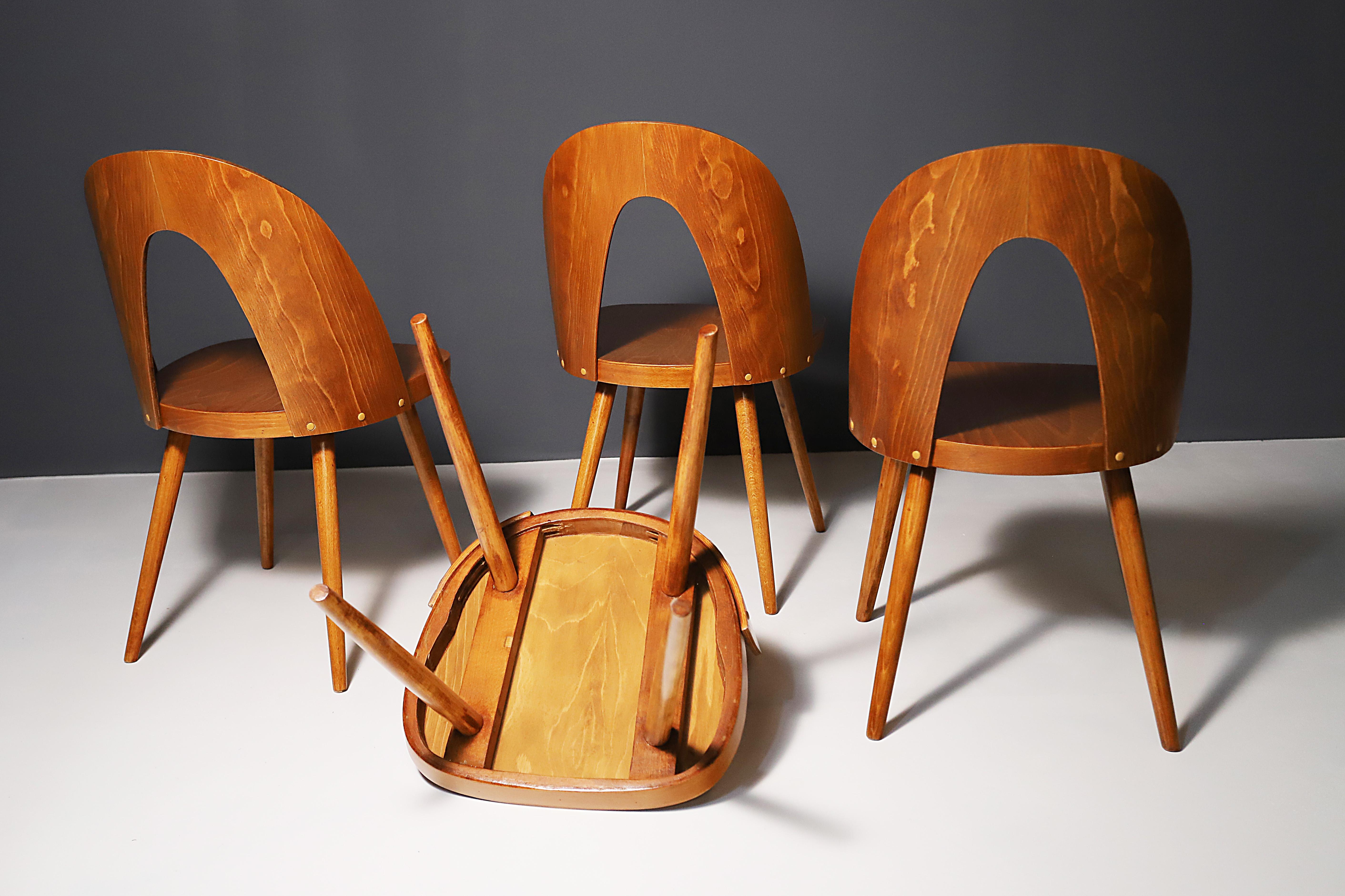 Sedie in legno di faggio completamente restaurate di Antonín Šuman, Cecoslovacchia, set da 4 in vendita 1