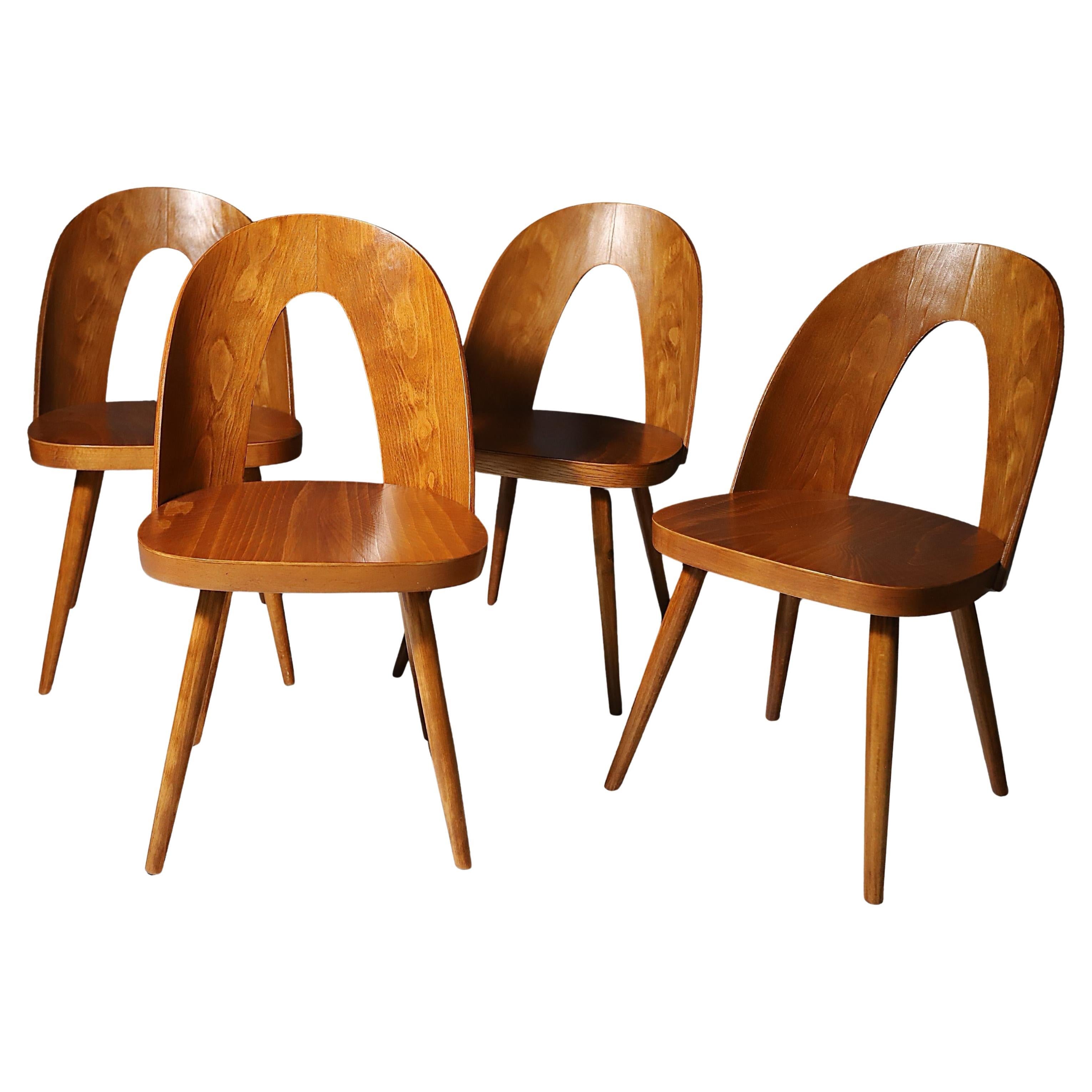 Chaises en hêtre entièrement rénovées par Antonín Šuman, Tchécoslovaquie, lot de 4