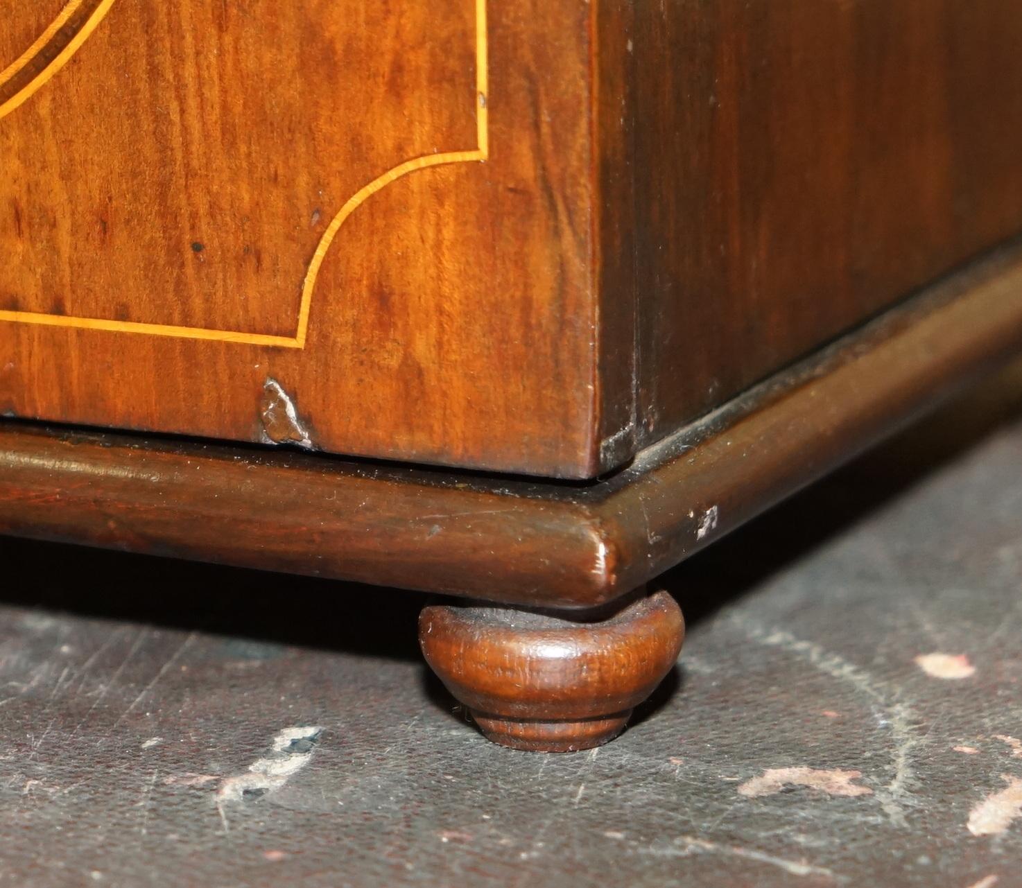 FULLY RESTORED FINE & ANTIQUE GEORGIAN SHERATON COLLECTORS CABINET CiRCA 1820 For Sale 3