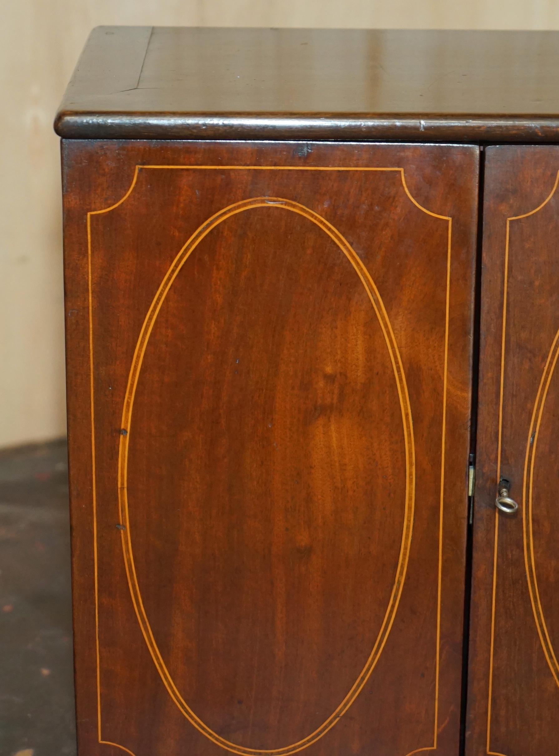 FULLY RESTORED FINE & ANTIQUE GEORGIAN SHERATON COLLECTORS CABINET CiRCA 1820 In Excellent Condition For Sale In West Sussex, Pulborough