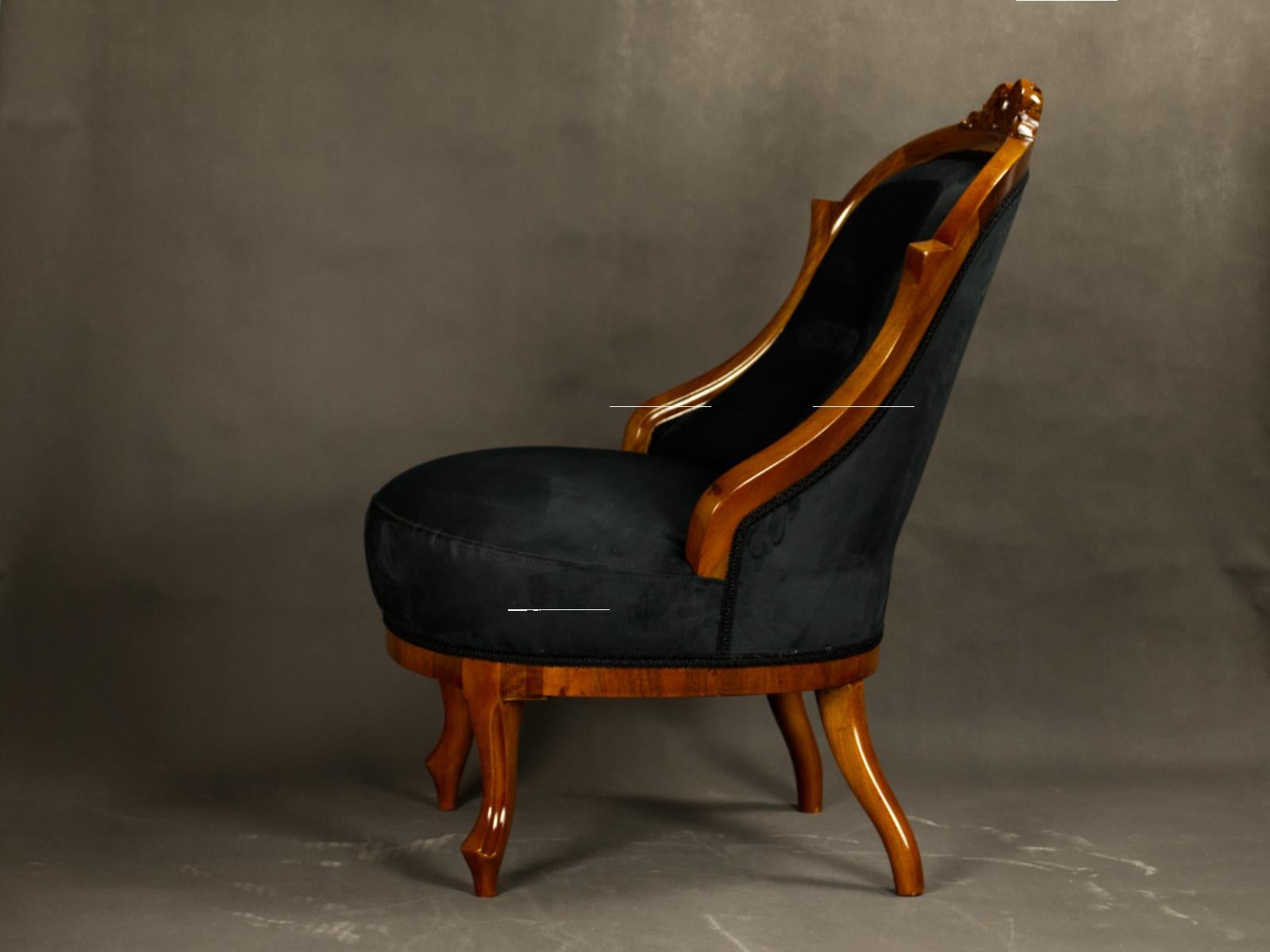 Austrian Fully Restored Pair of Black Biedermeier Armchairs 19th Century For Sale
