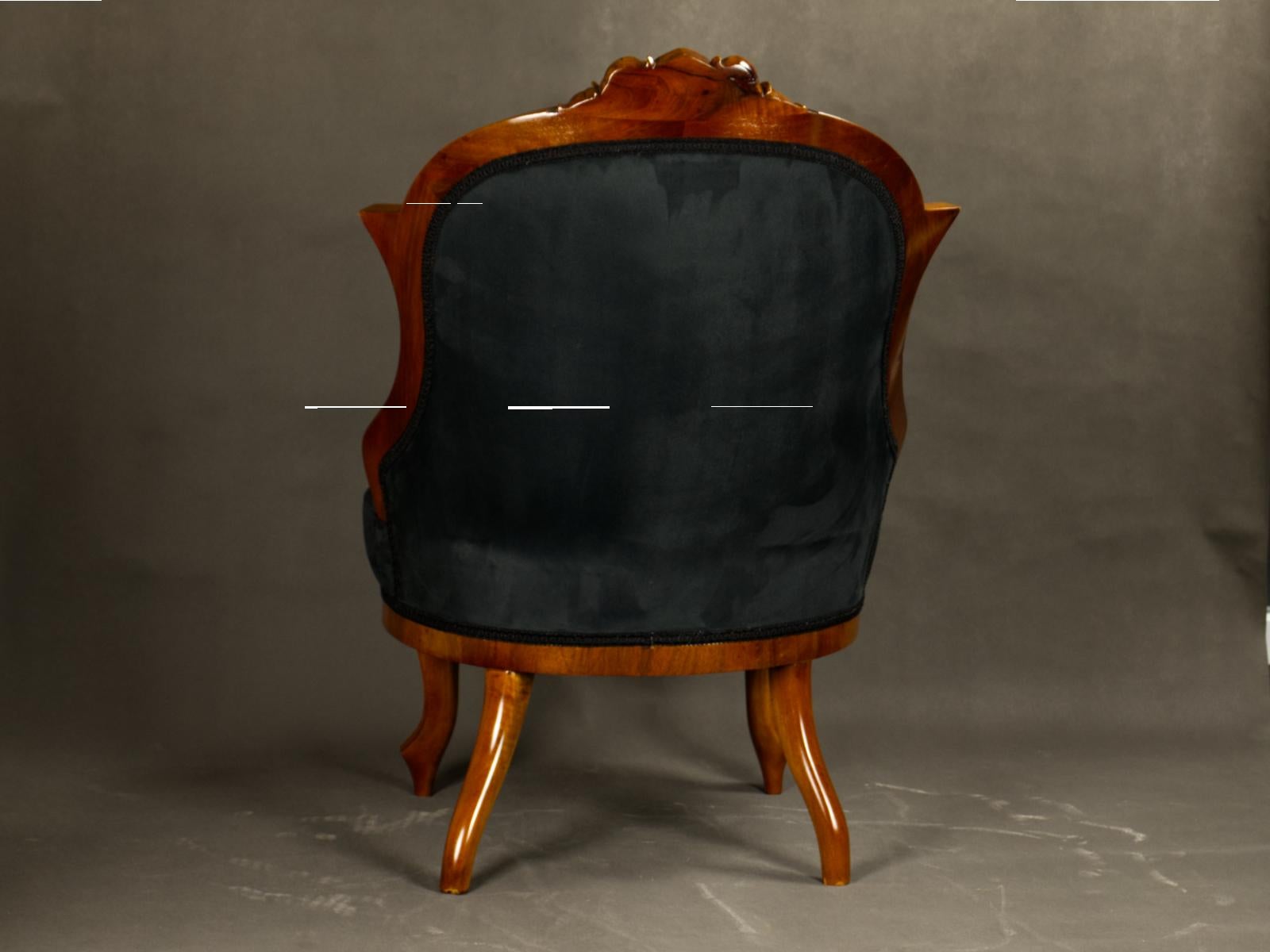Upholstery Fully Restored Pair of Black Biedermeier Armchairs 19th Century For Sale