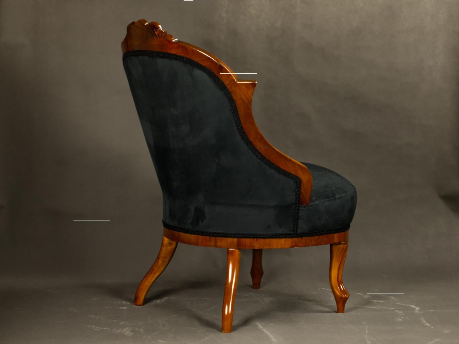Vollständig restauriertes Paar schwarzer Biedermeier-Sessel, 19. Jahrhundert (Polster) im Angebot