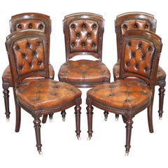 Antique Fully Restored Suite of Five Chesterfield Brown Leather & Hardwood Dining Chairs