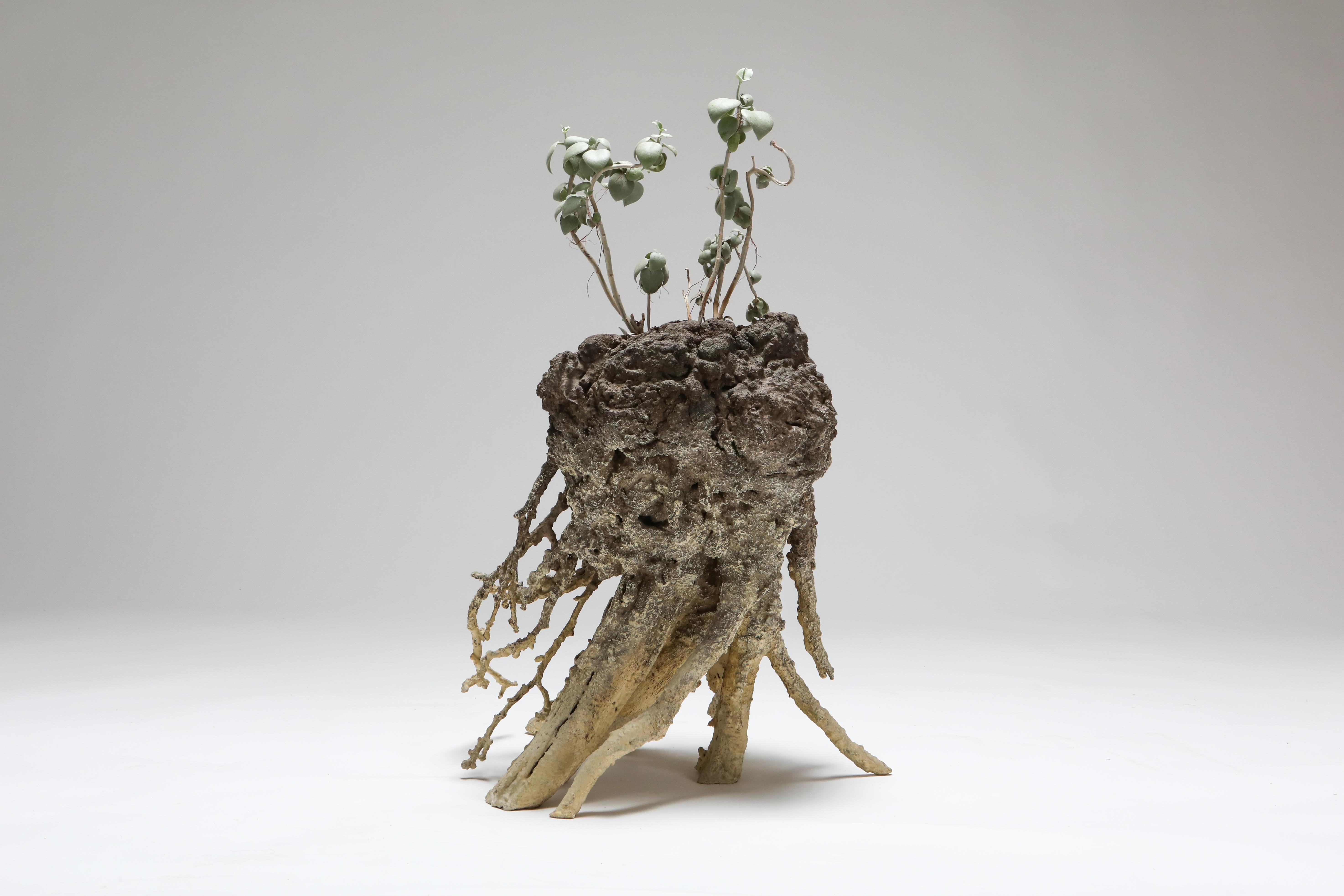 Zeitgenössische Pflanzgefäße / Pflanze, touche-touche, Frankreich, 2020.

Mnetonimic Pneumatophres II ist ein zeitgenössisches, funktionales Kunstobjekt des Duos touche-touche. Das Einzelstück war Teil der Einzelausstellung in der Everyday Gallery