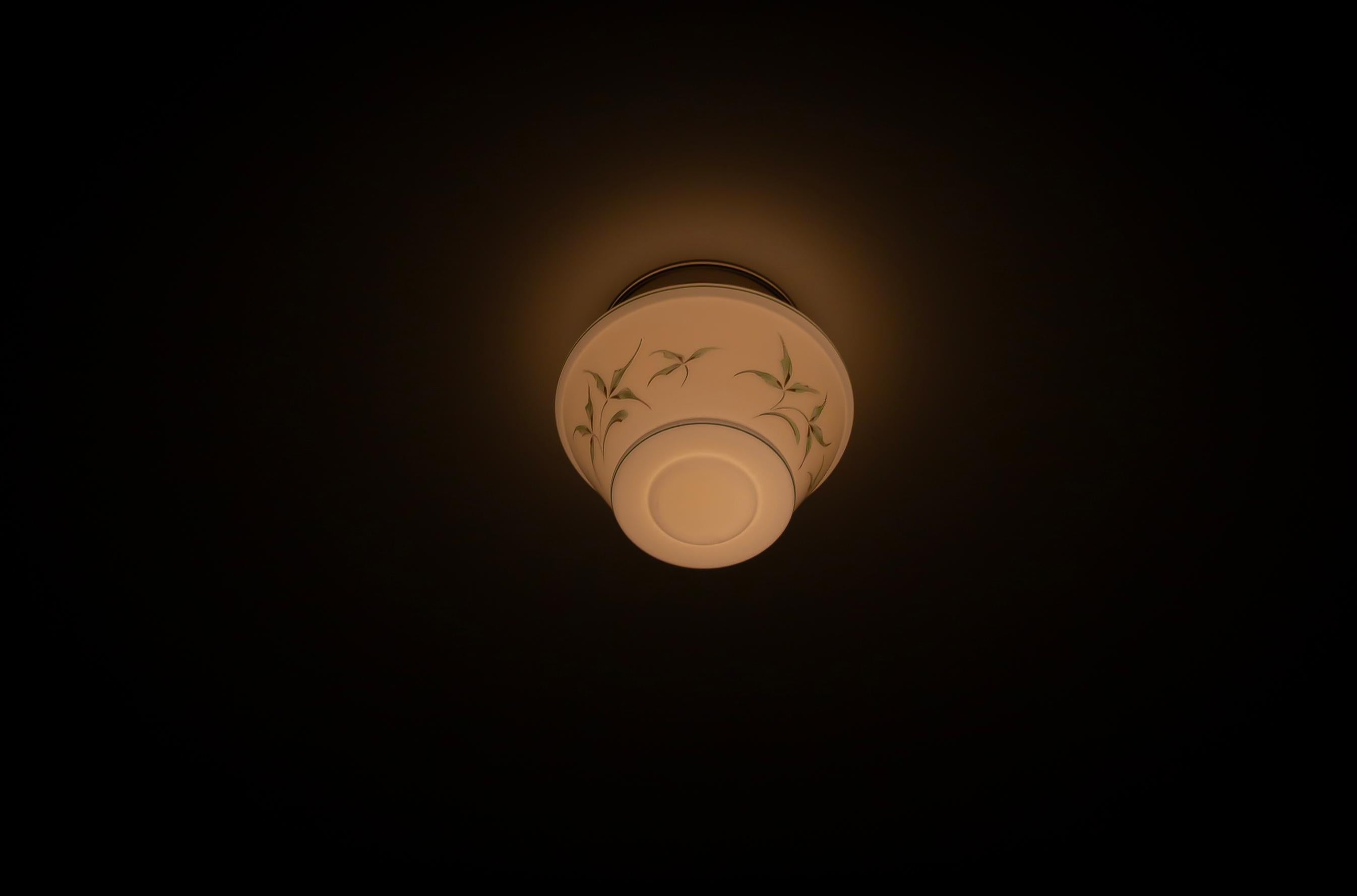 Functionalist Flush Mount Ceiling Light, 1950s For Sale 3