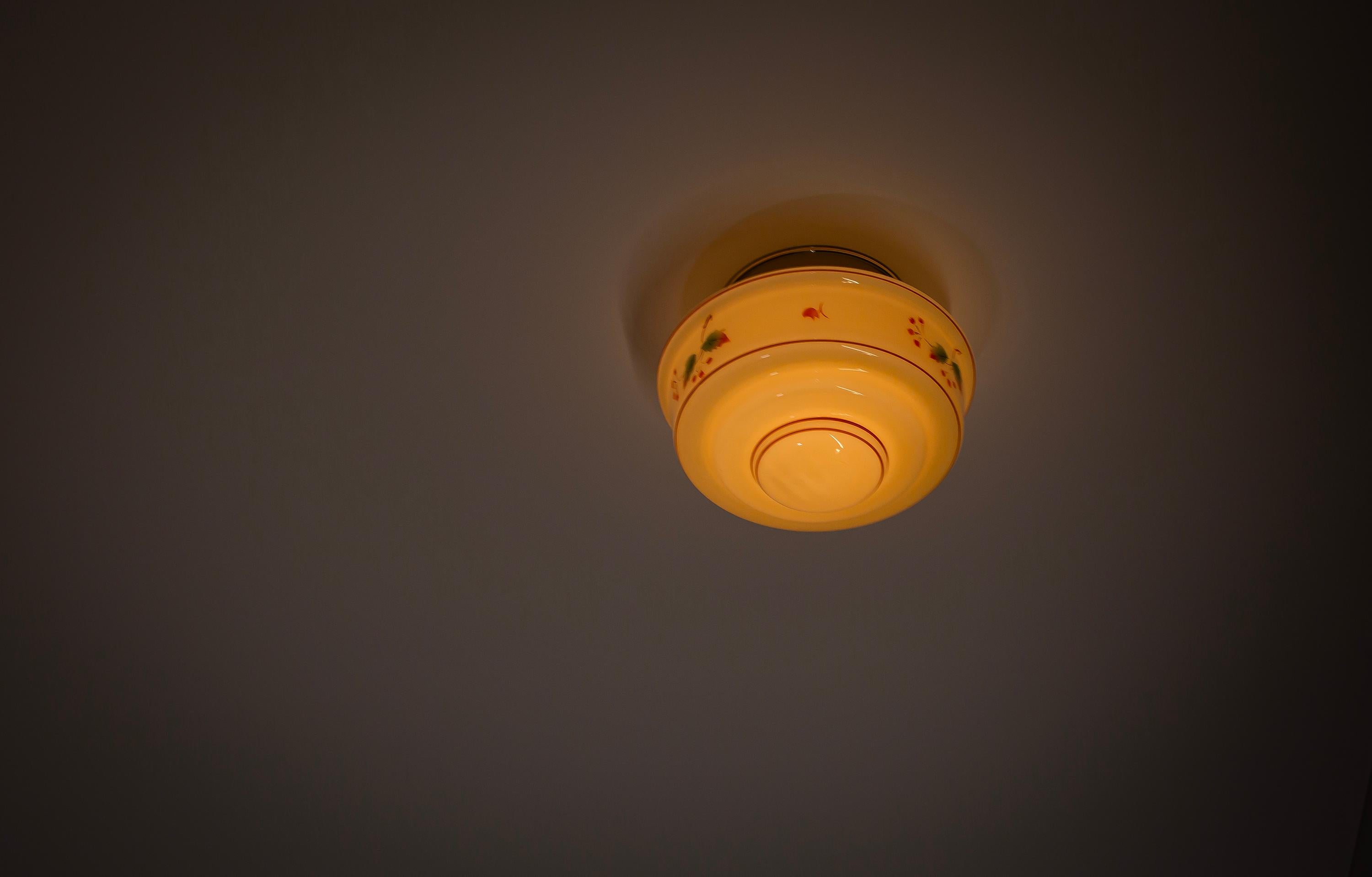 Functionalist Flush Mount Ceiling Light, 1950s For Sale 3