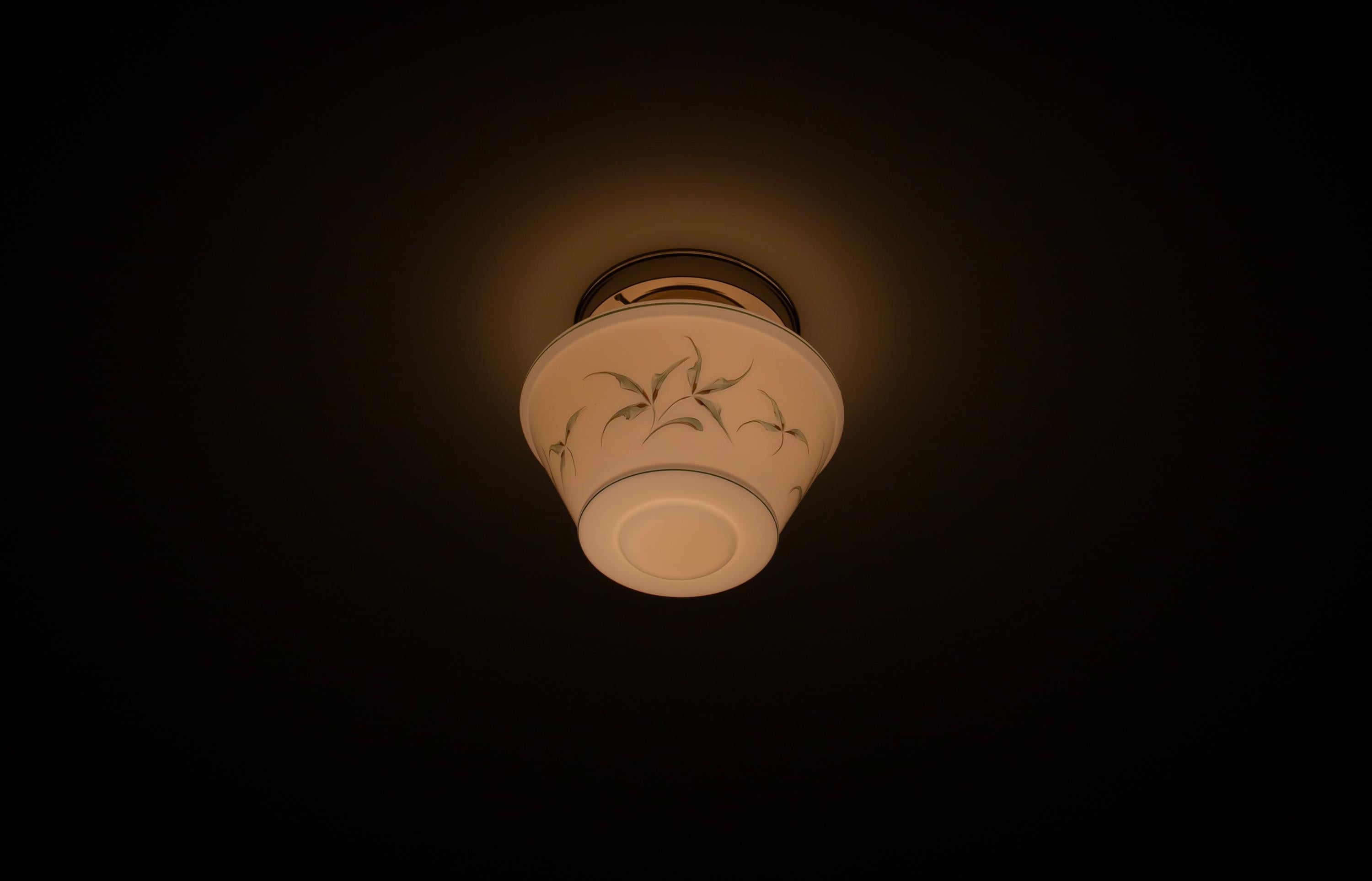 Mid-20th Century Functionalist Flush Mount Ceiling Light, 1950s For Sale
