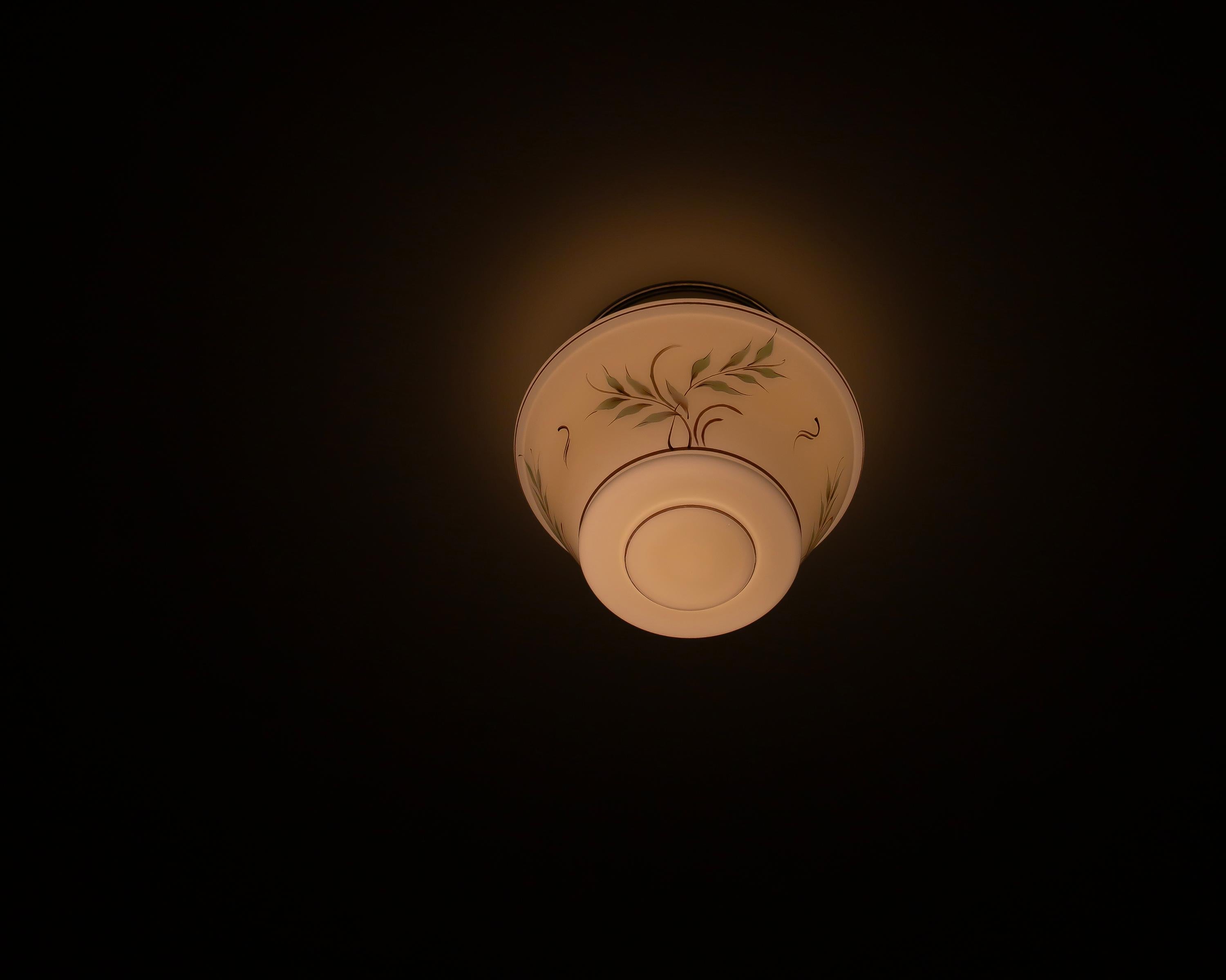 Mid-20th Century Functionalist Flush Mount Ceiling Light, 1950s For Sale