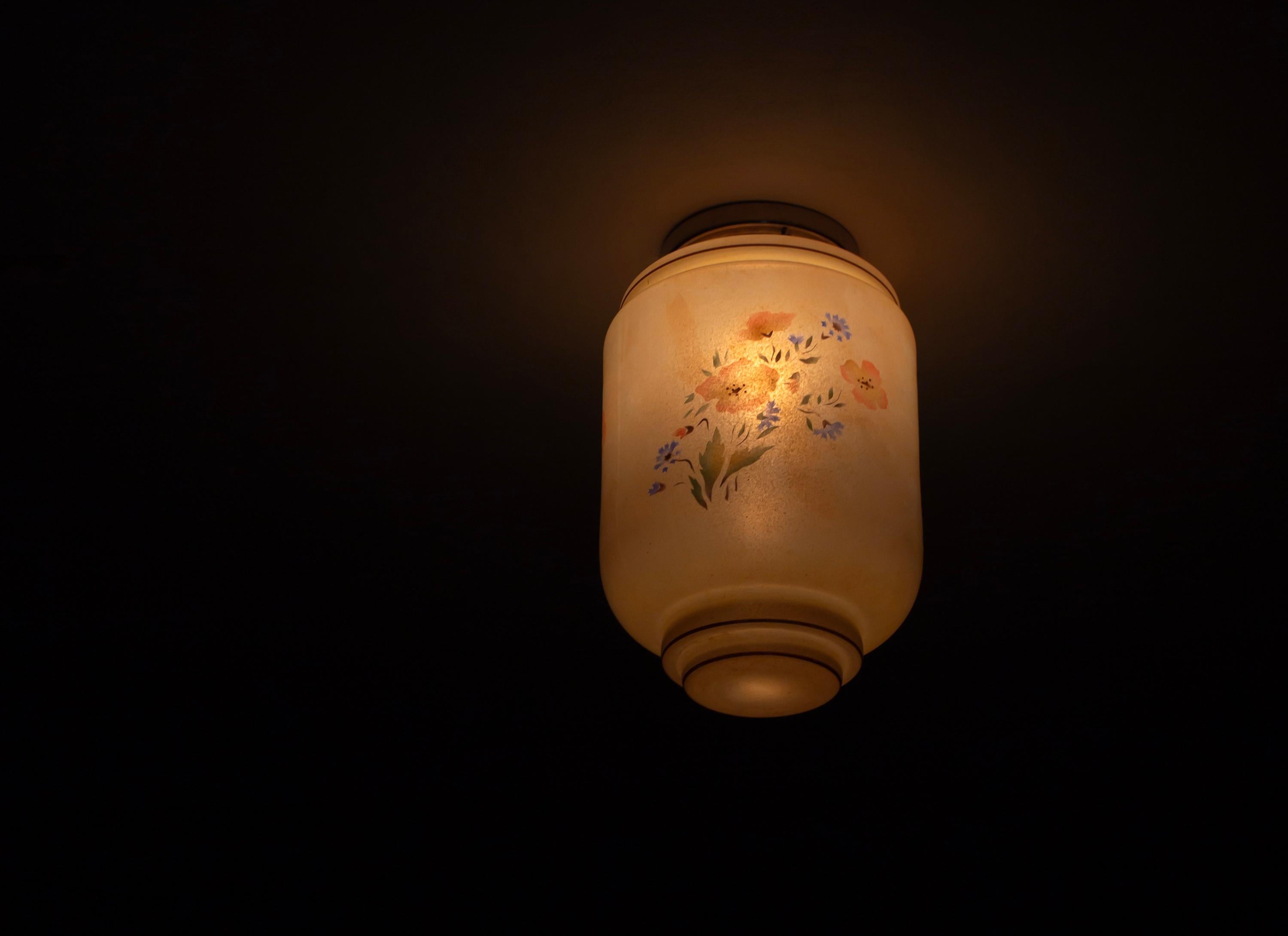 Functionalist Flush Mount Ceiling Light, 1950s For Sale 1