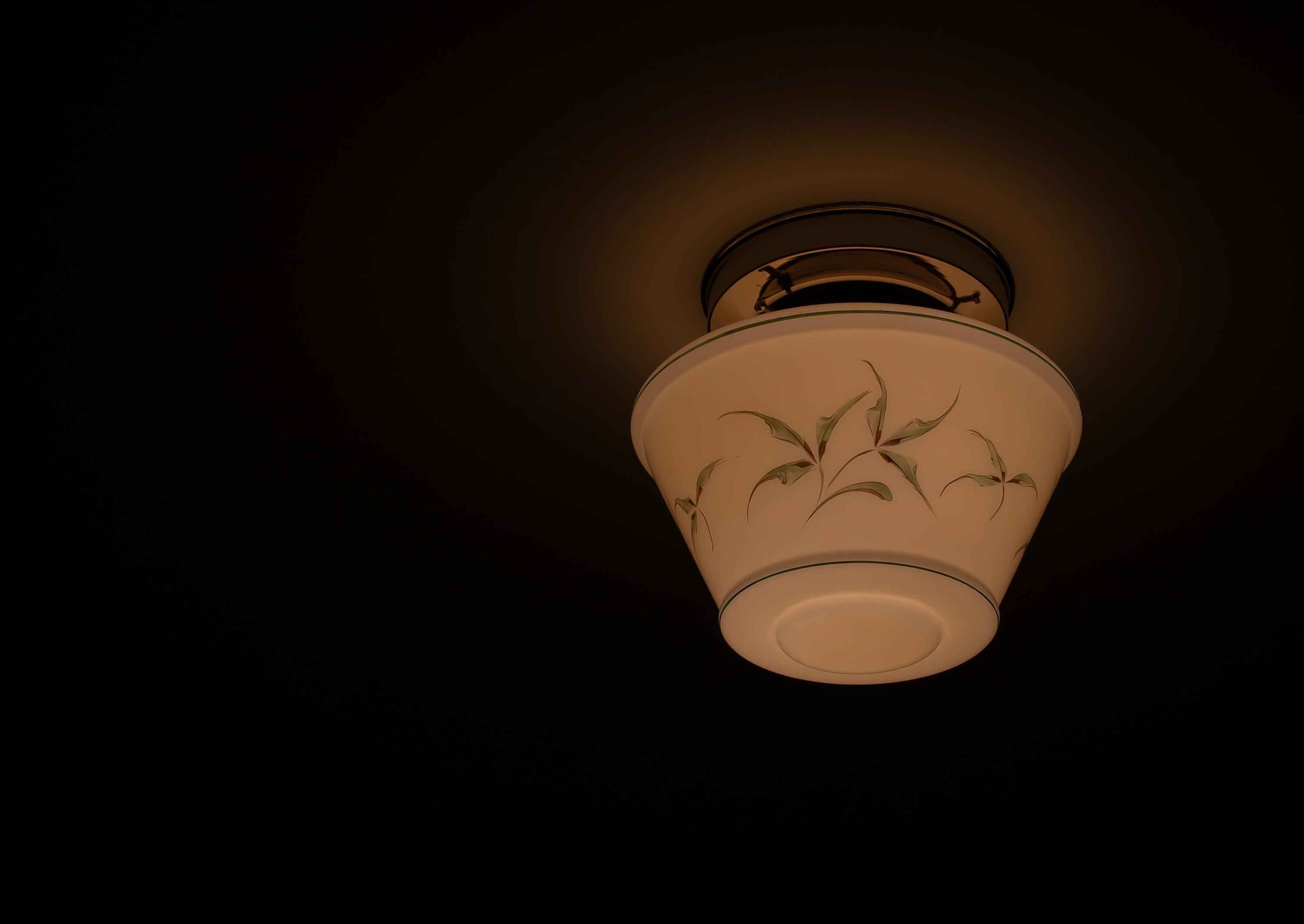 Functionalist Flush Mount Ceiling Light, 1950s For Sale 1
