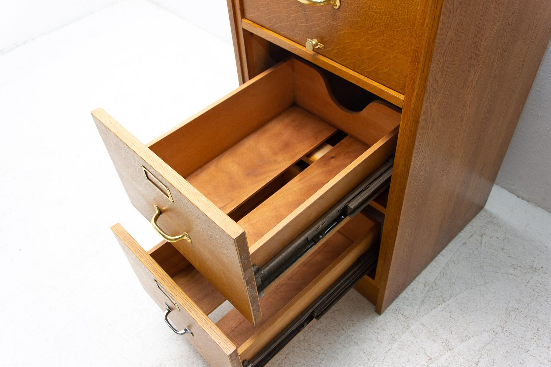  Functionalist Industrial Filing Cabinet, 1930s, Czechoslovakia 5