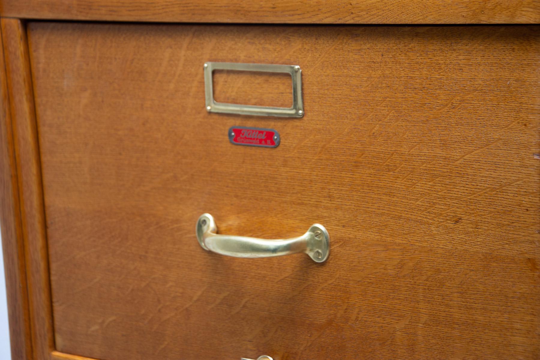  Functionalist Industrial Filing Cabinet, 1930s, Czechoslovakia 7