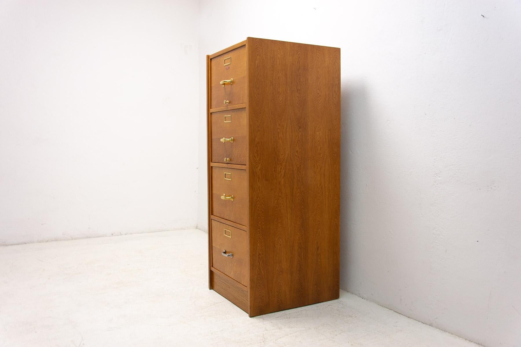  Functionalist Industrial Filing Cabinet, 1930s, Czechoslovakia 1