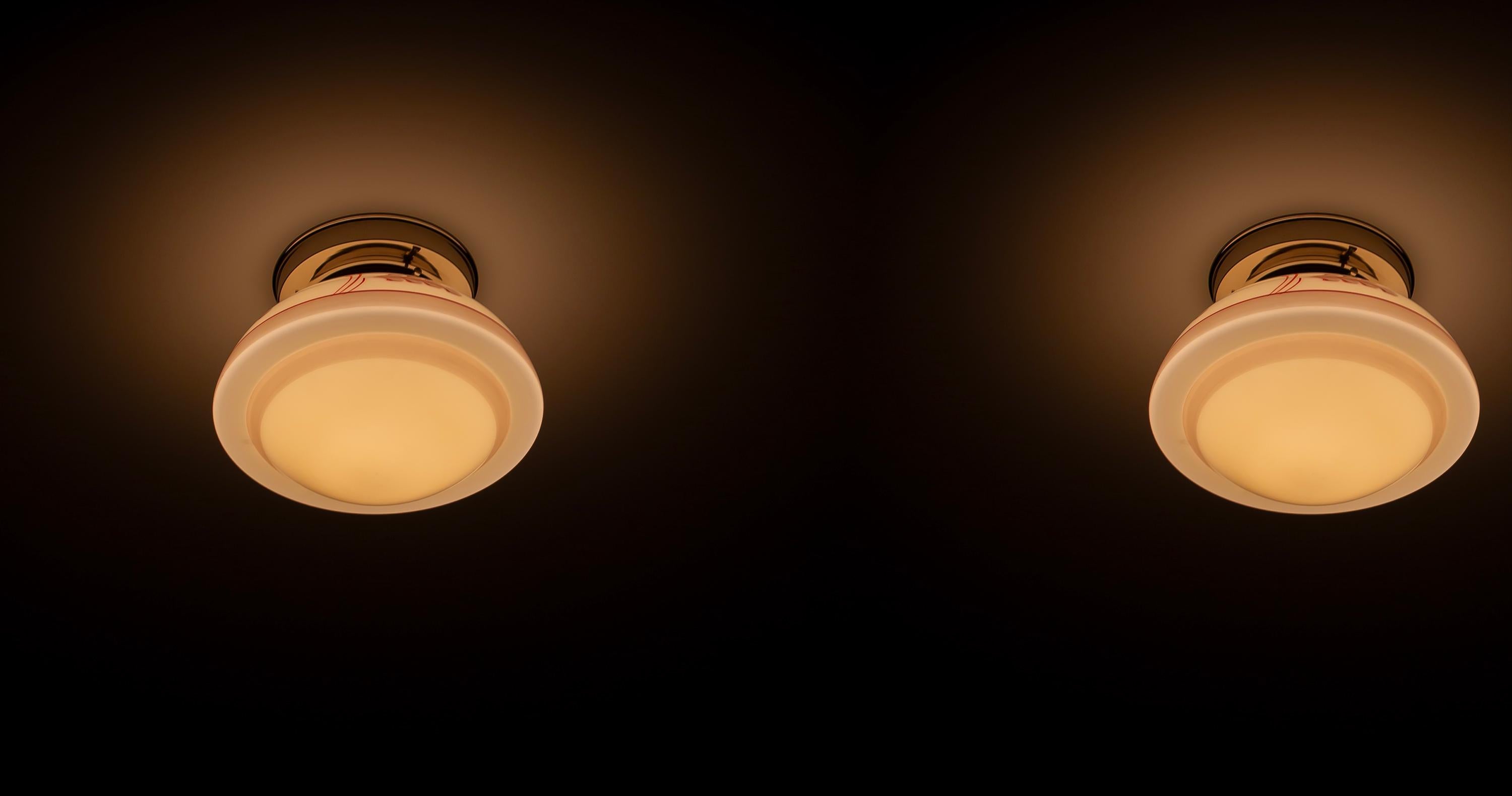 Functionalist Pair of Flush Mount Ceiling Lights, 1950s 2