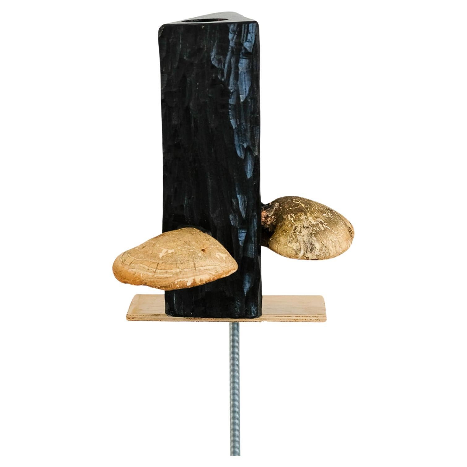 "Fungi Pot #3" One-Off Chestnut Wood Vase with Mushrooms by Tony Manara 2023 For Sale