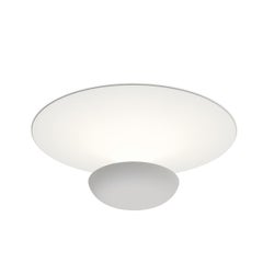 Funnel LED Ceiling/Wall Light in Matte White
